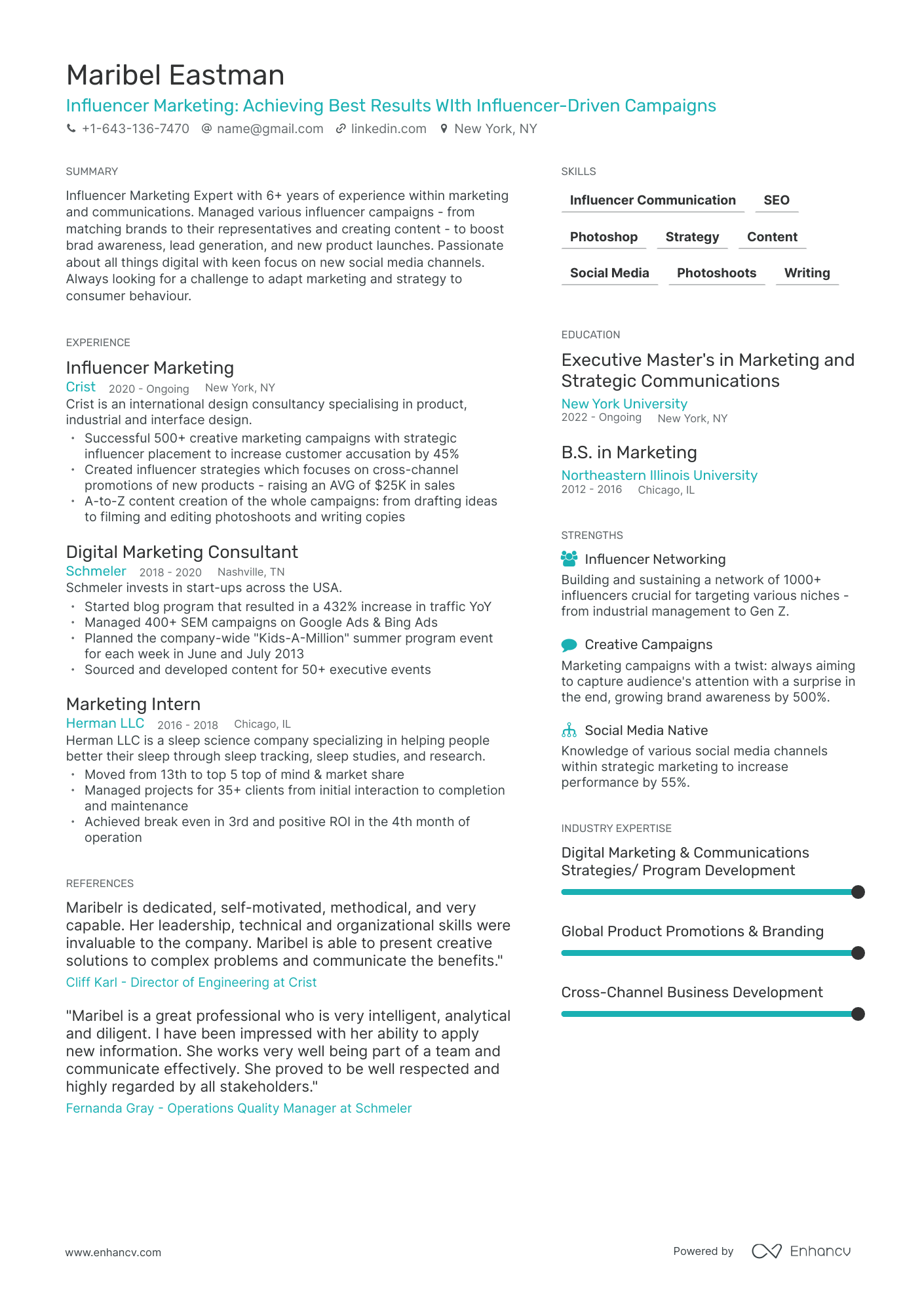 Influencer Marketing Resume Example