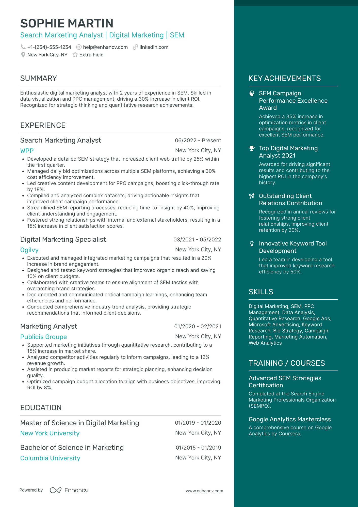 Entry Level Digital Marketing Analyst Resume Example