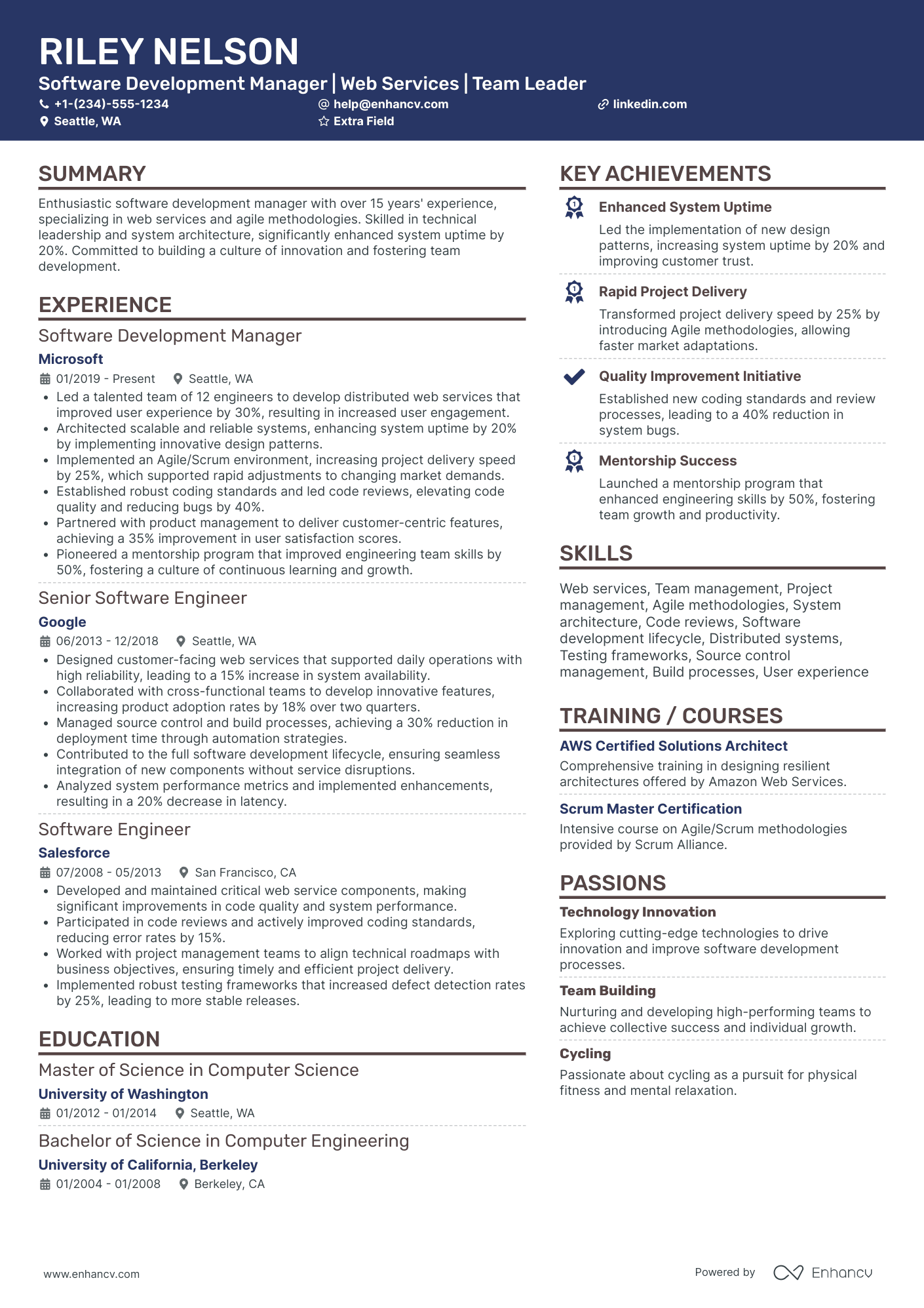 IT Director of Software Development Resume Example