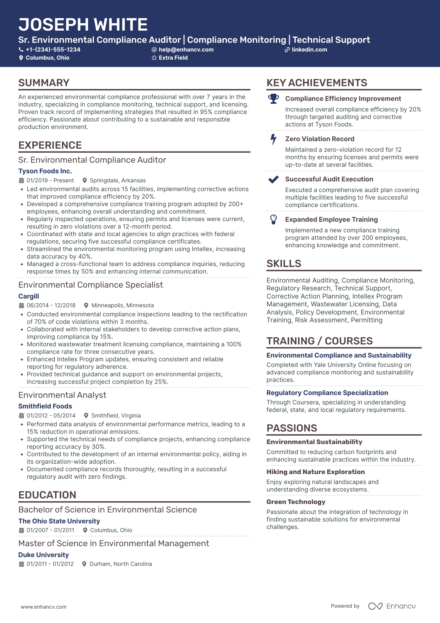 Environmental Auditor Resume Example