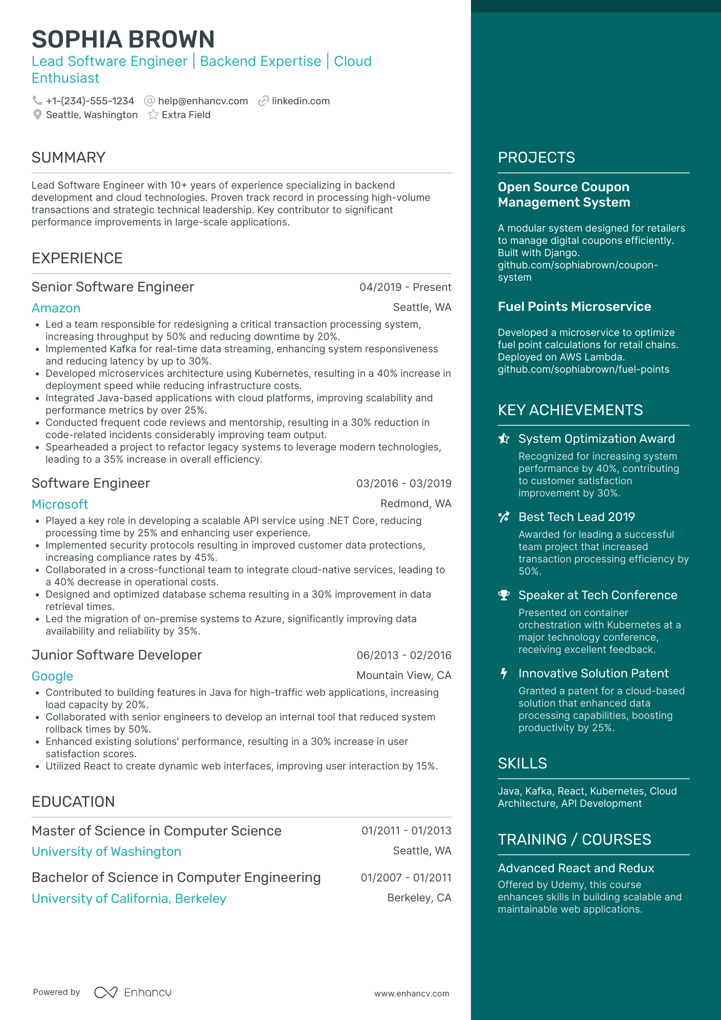 Lead Software Engineer Resume Example