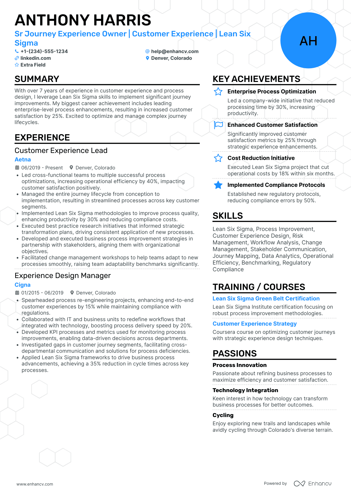 Home based Business Owner Resume Example