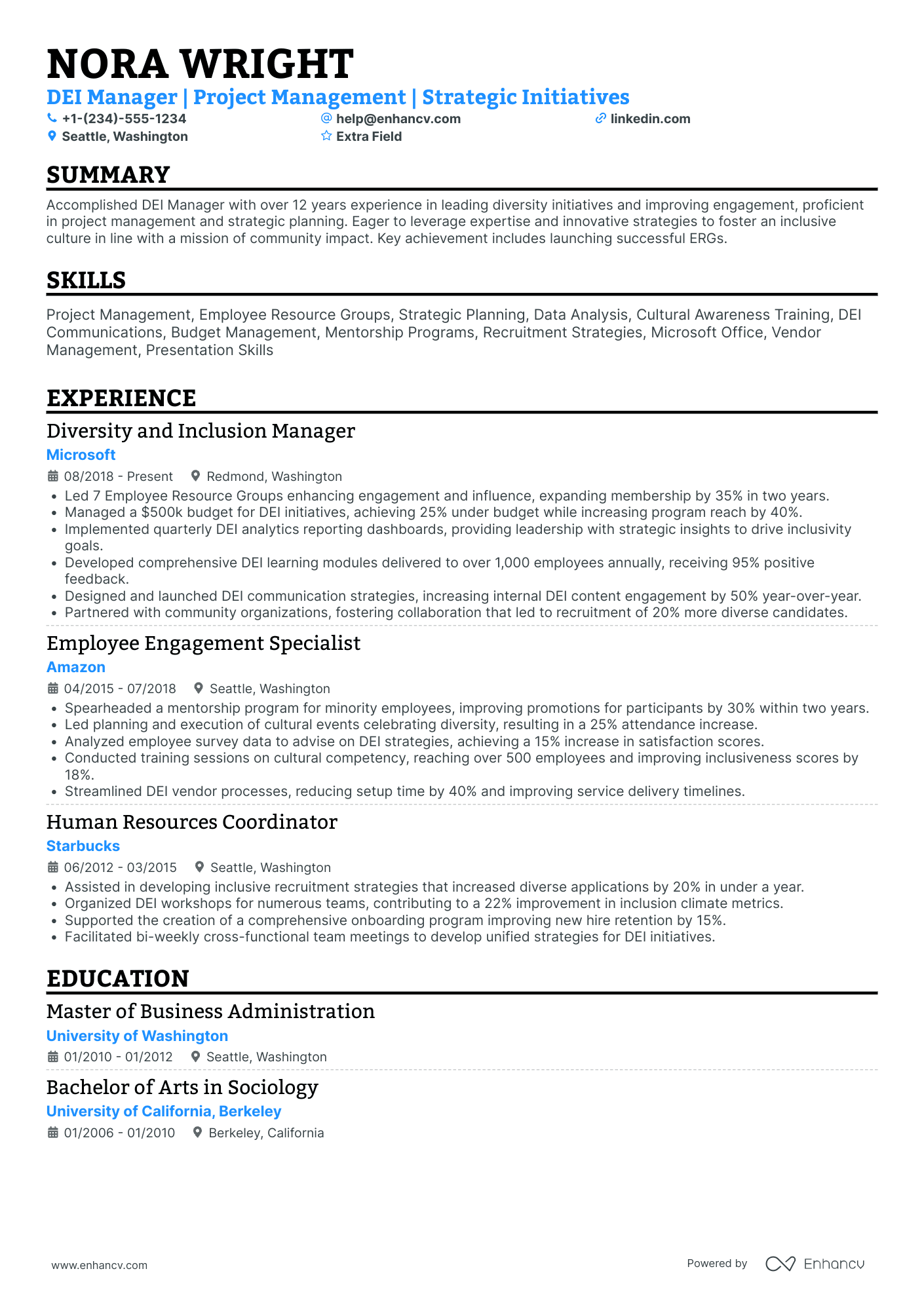 Entry Level Diversity and Inclusion Manager Resume Example