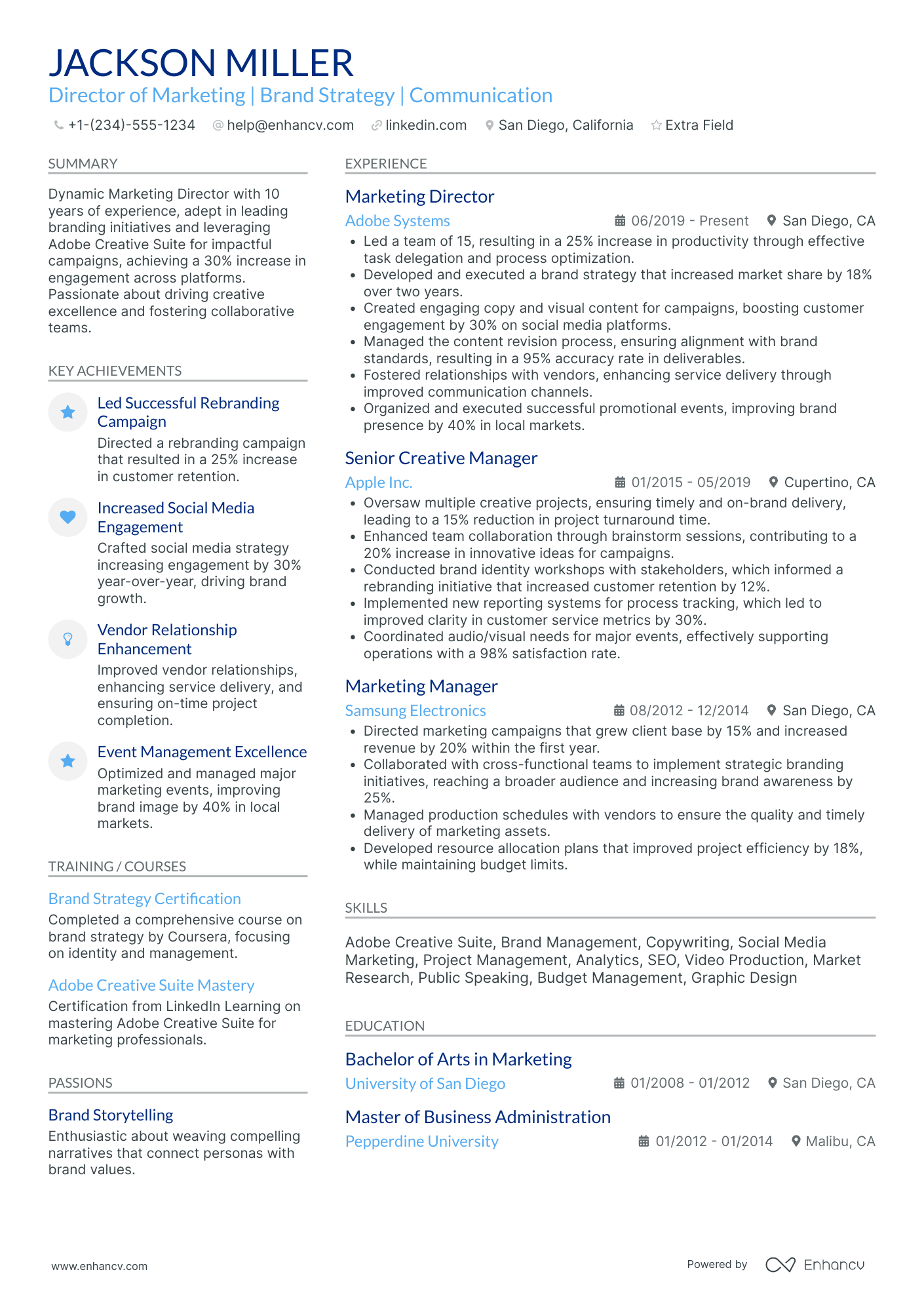 Marketing Director, Social Media Resume Example