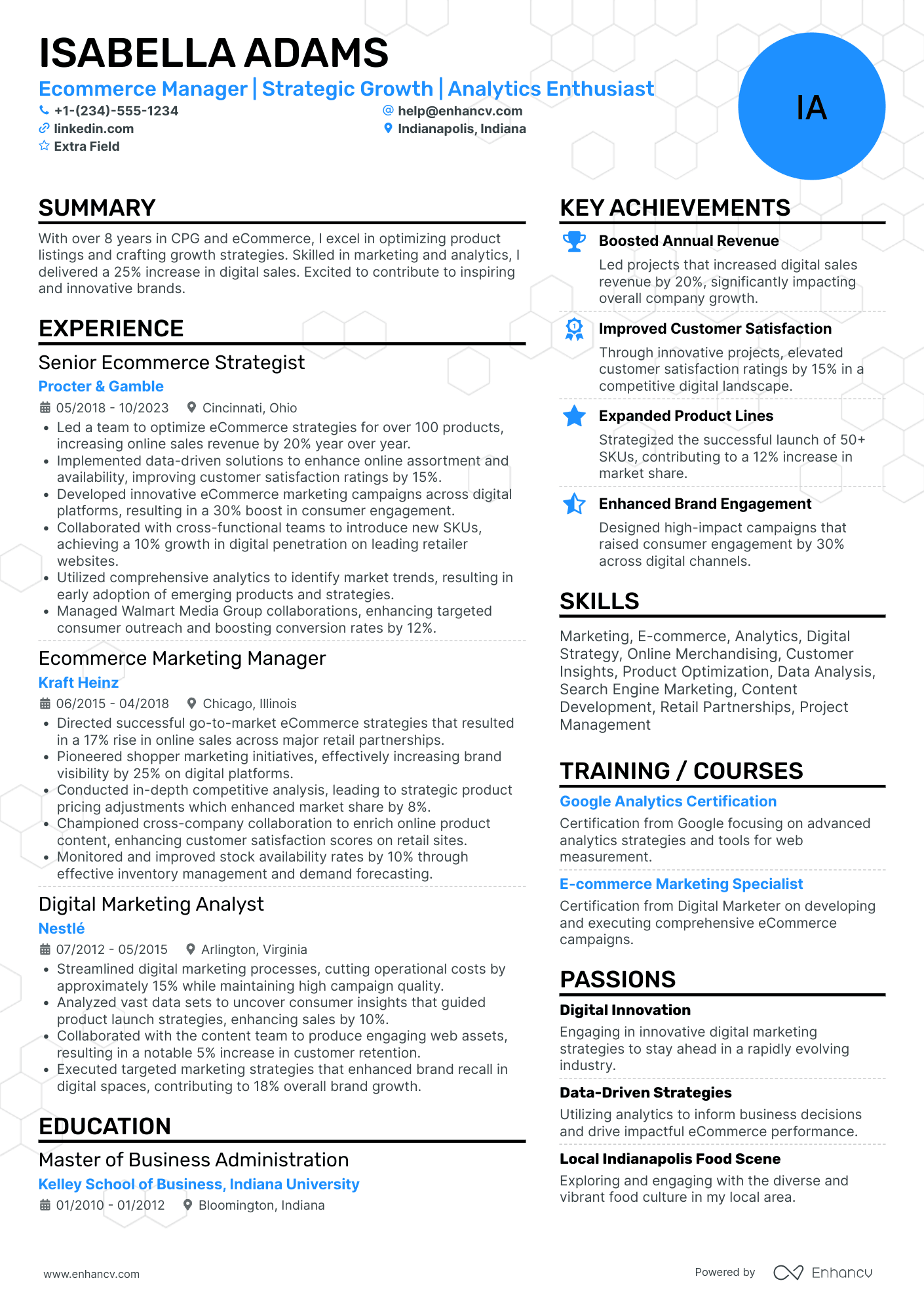 Ecommerce Business Owner Resume Example