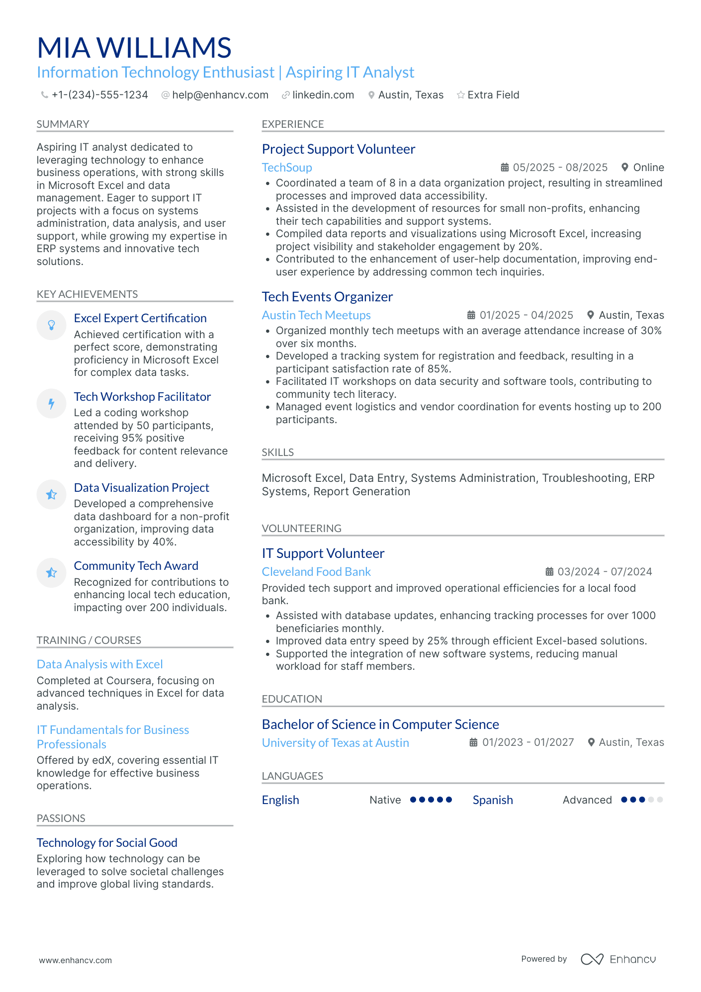 IT Compliance Intern Resume Example