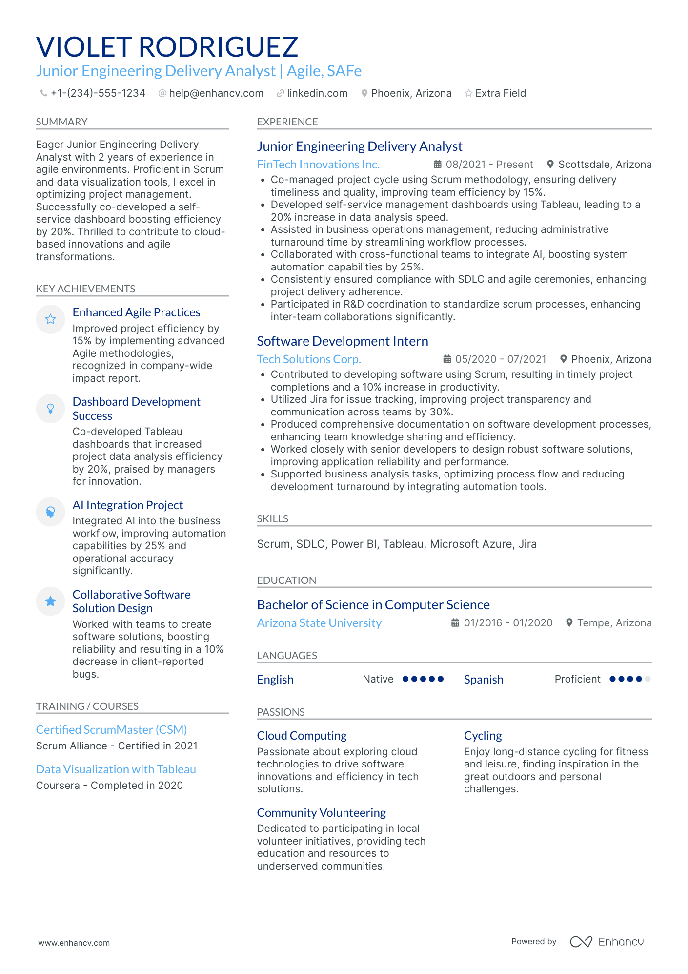 Junior Power BI Analyst Resume Example