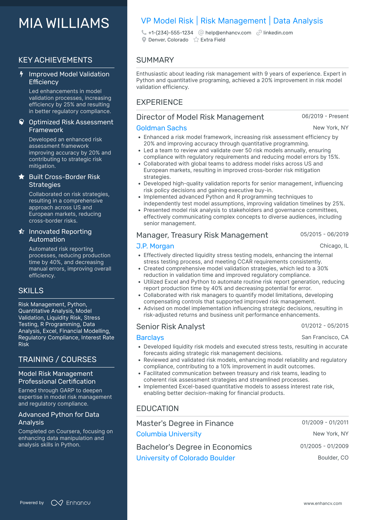 VP of Finance and Risk Management Resume Example