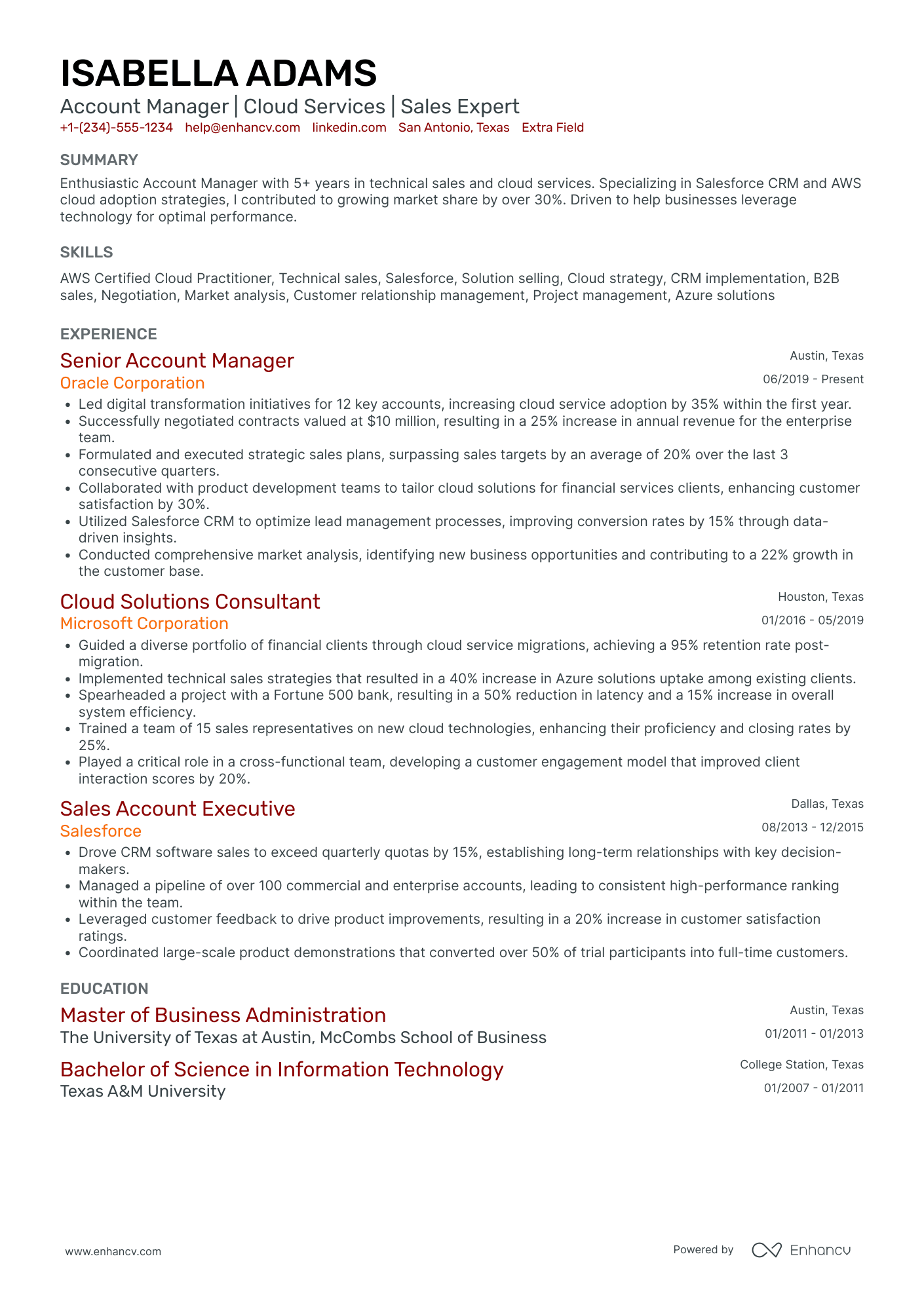 Financial Account Manager Resume Example