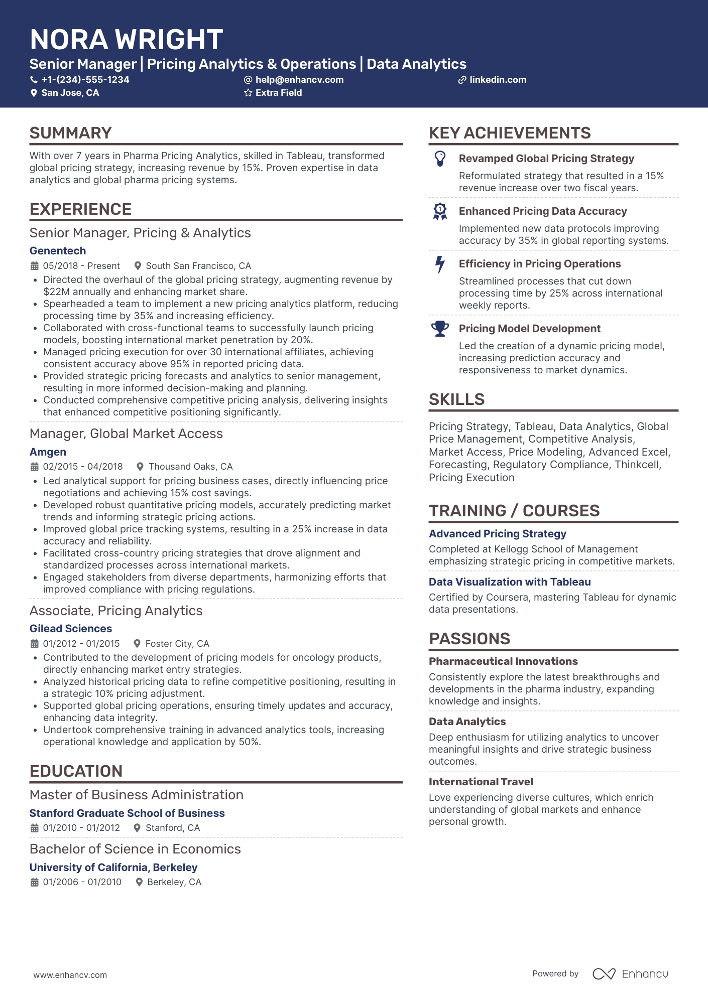 Senior Pricing Manager Resume Example