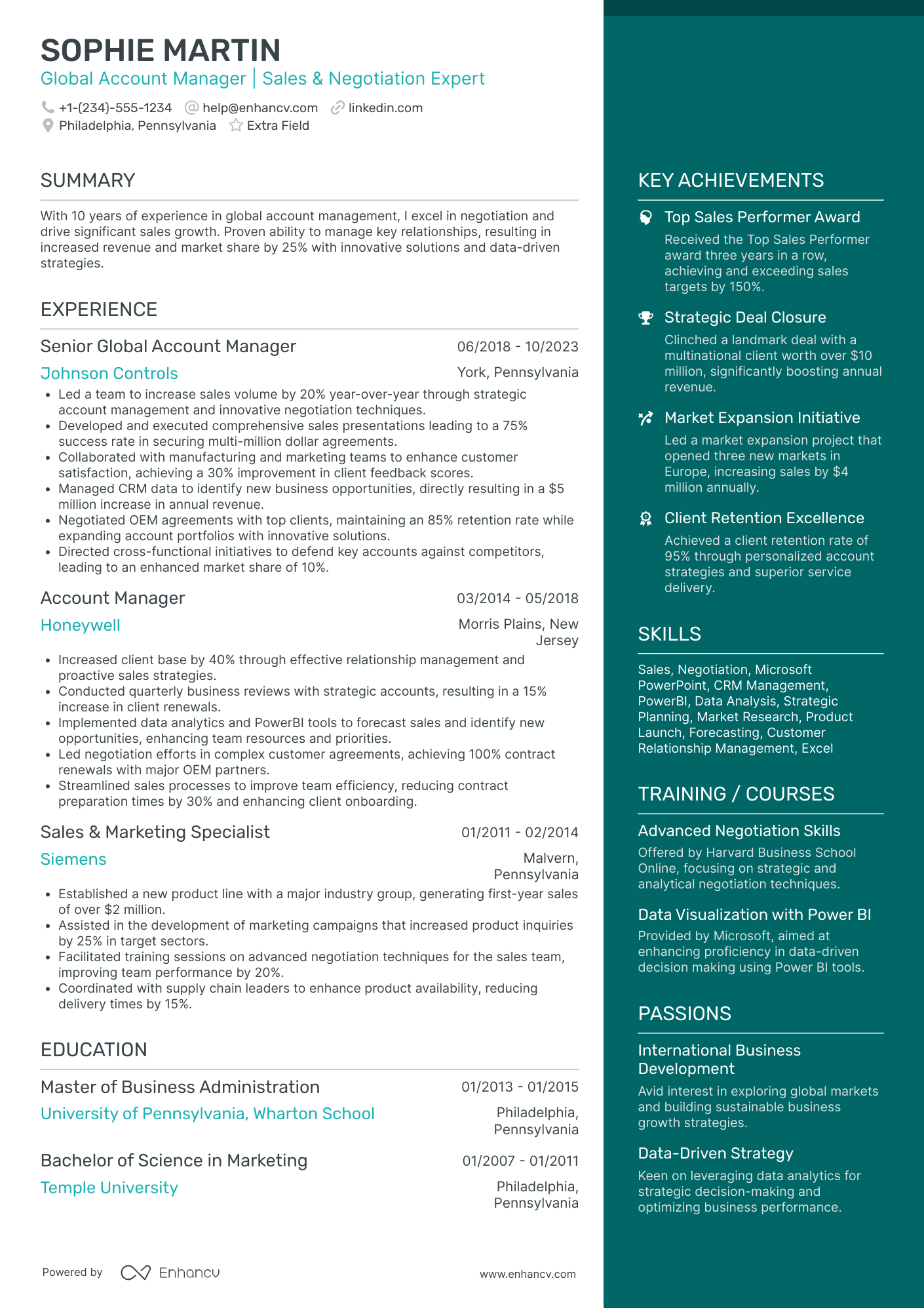 Global Account Manager Resume Example