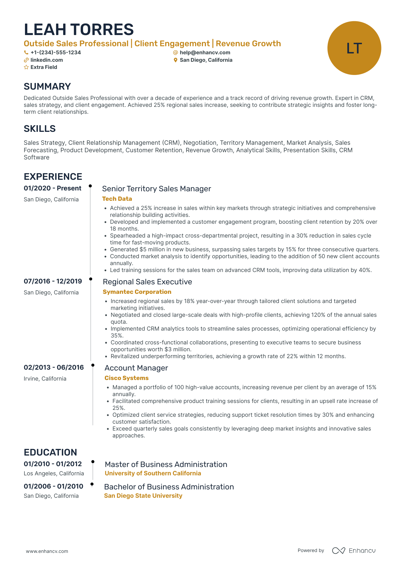 Outside Sales Professional Resume Example