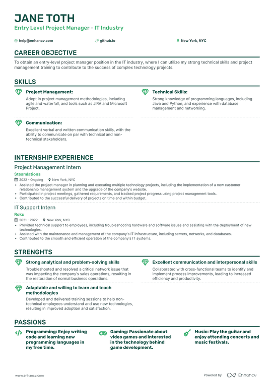 Entry Level Project Manager Resume Example