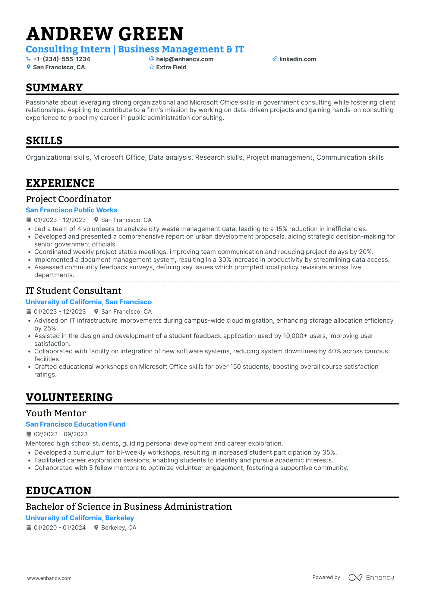 Entry Level IT Consultant Intern Resume Example