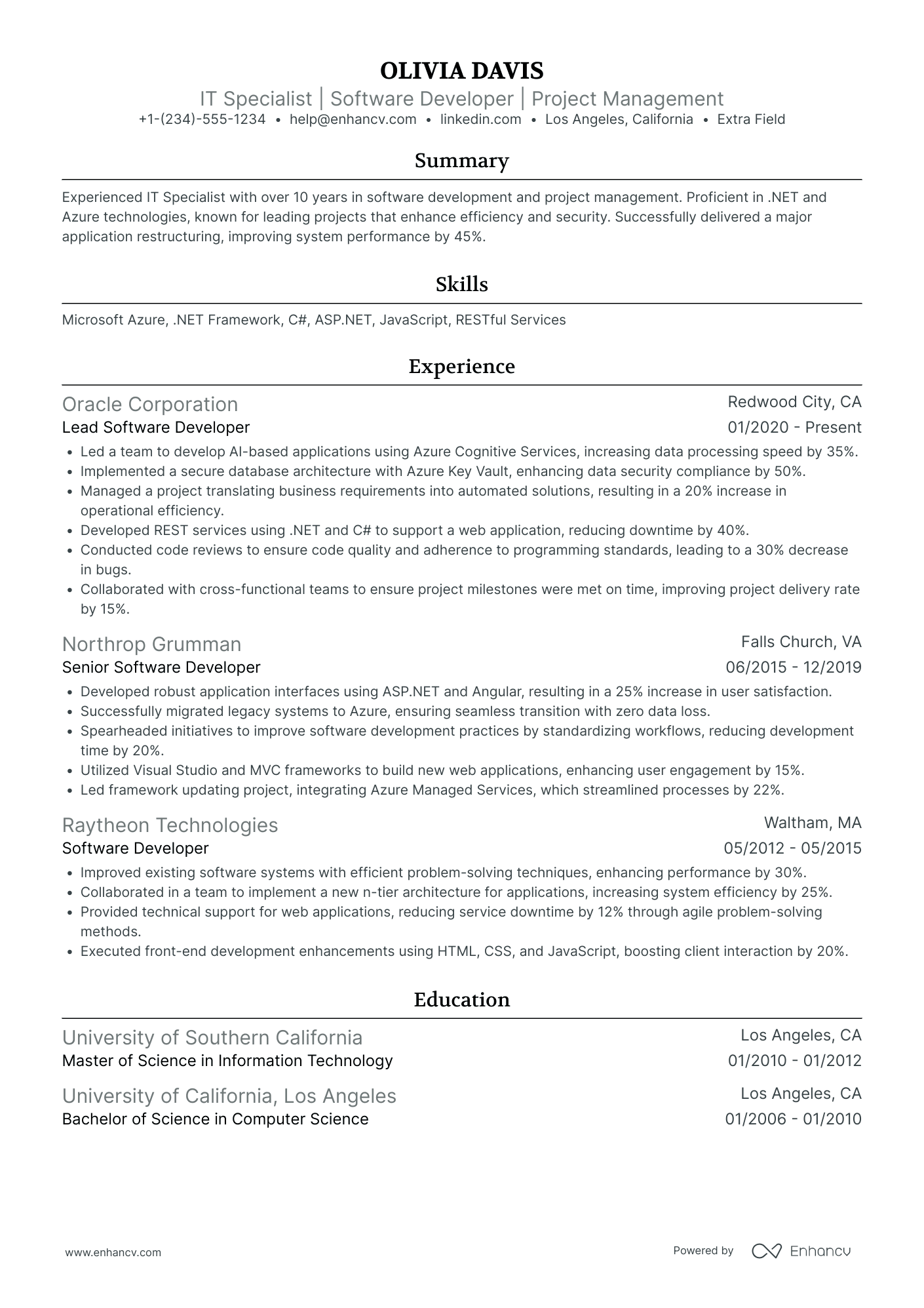 IT Software Technician Resume Example