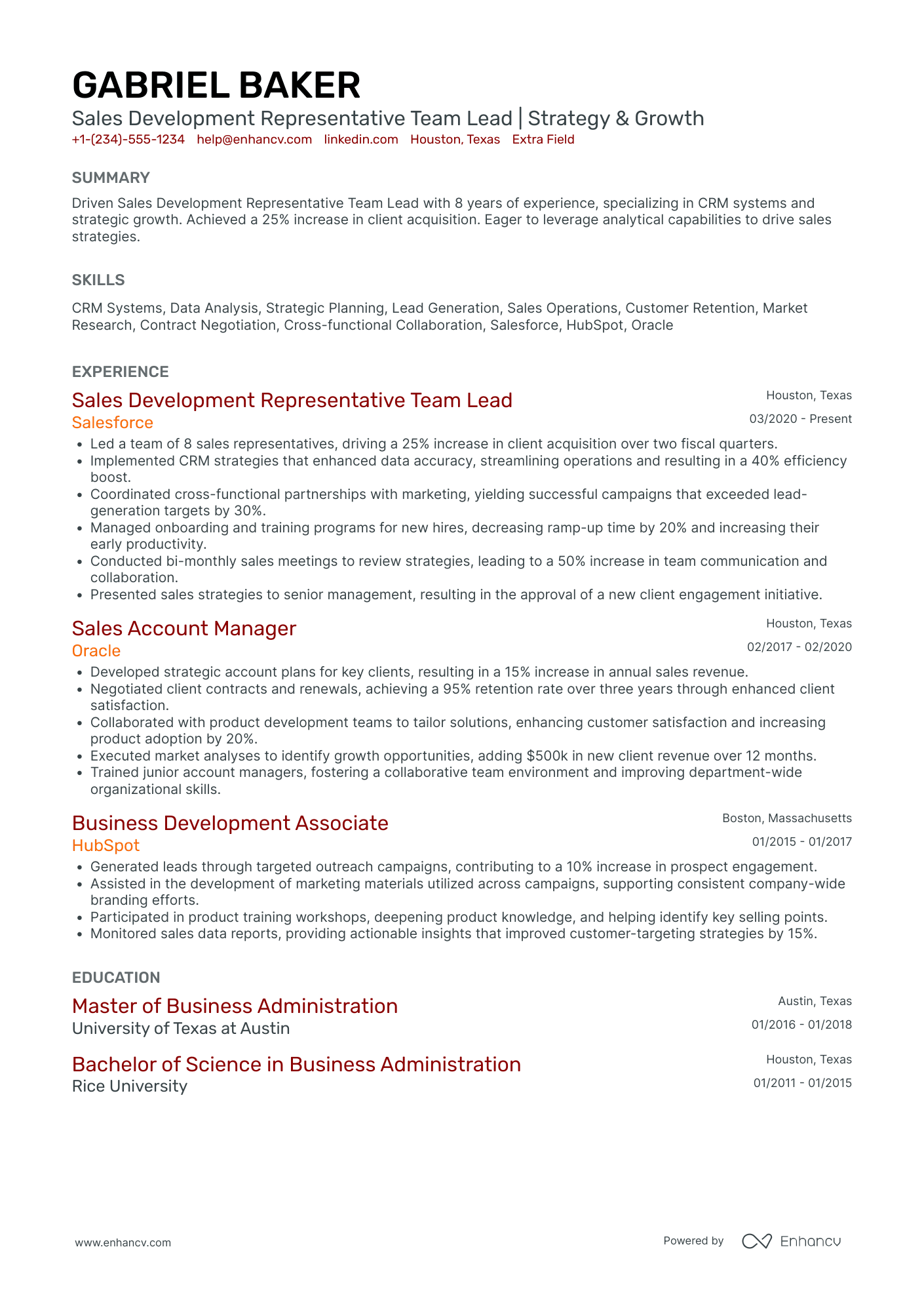 Sales Development Representative Team Lead Resume Example