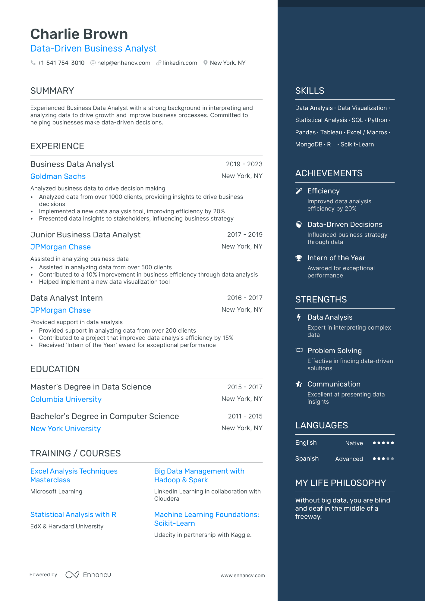 Business Data Analyst Resume Example