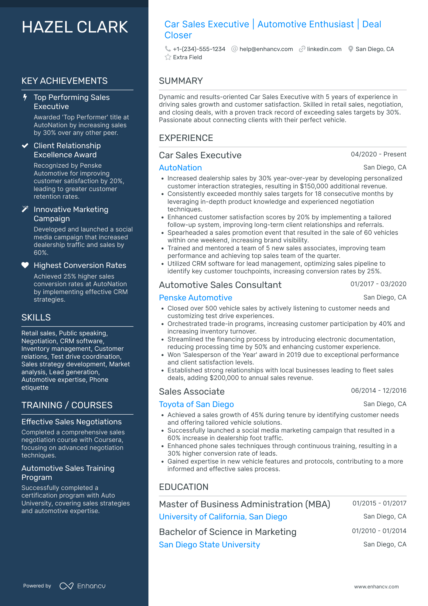 Car Salesman Team Leader Resume Example