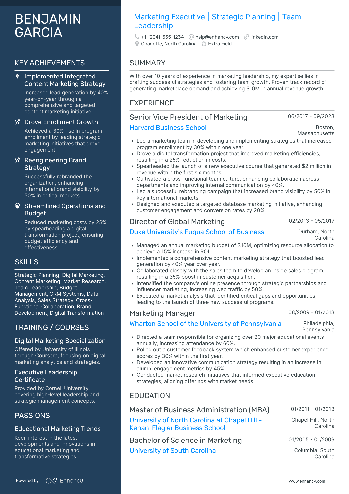 Managing Director of Marketing Resume Example