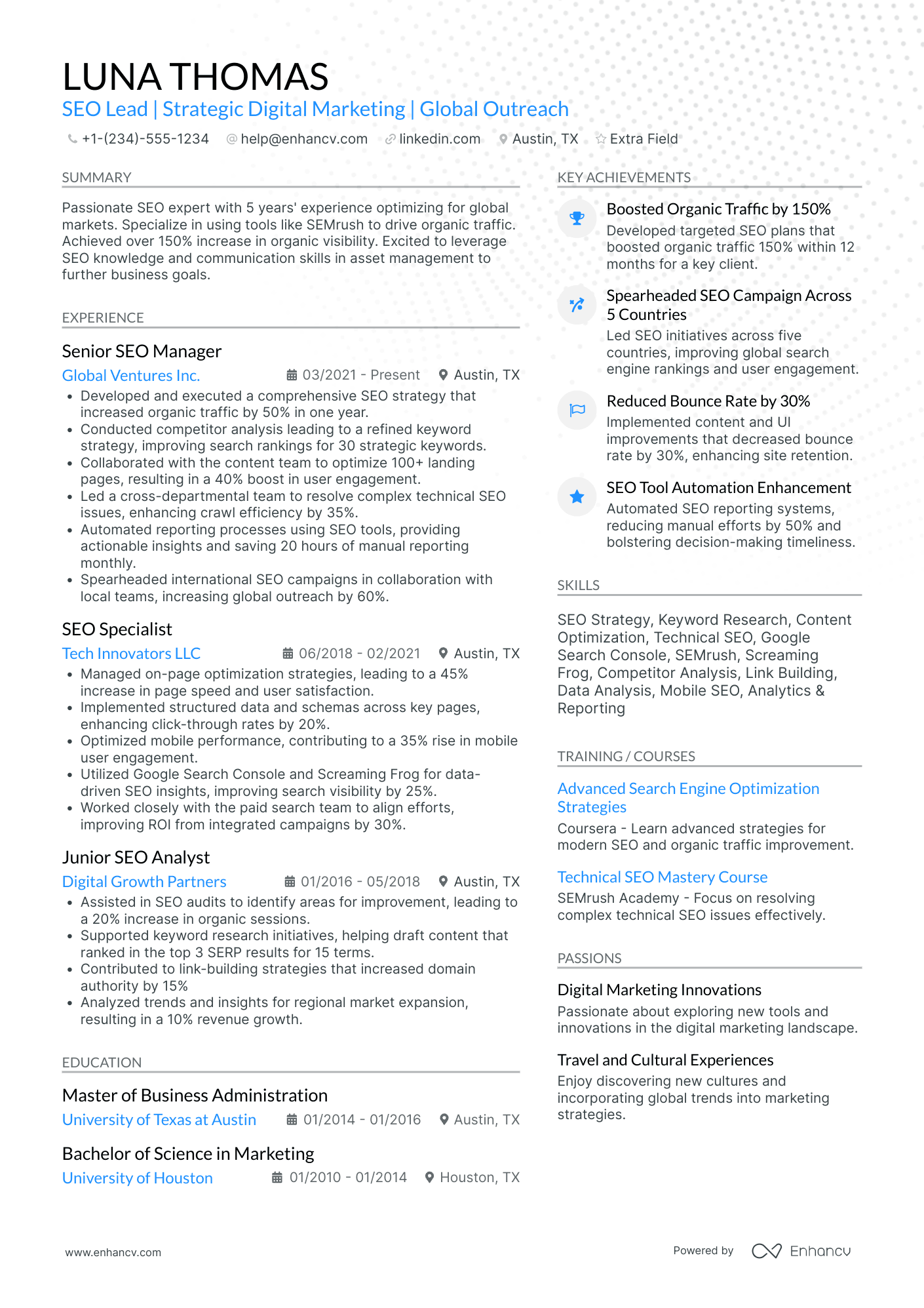 SEO Team Lead Resume Example