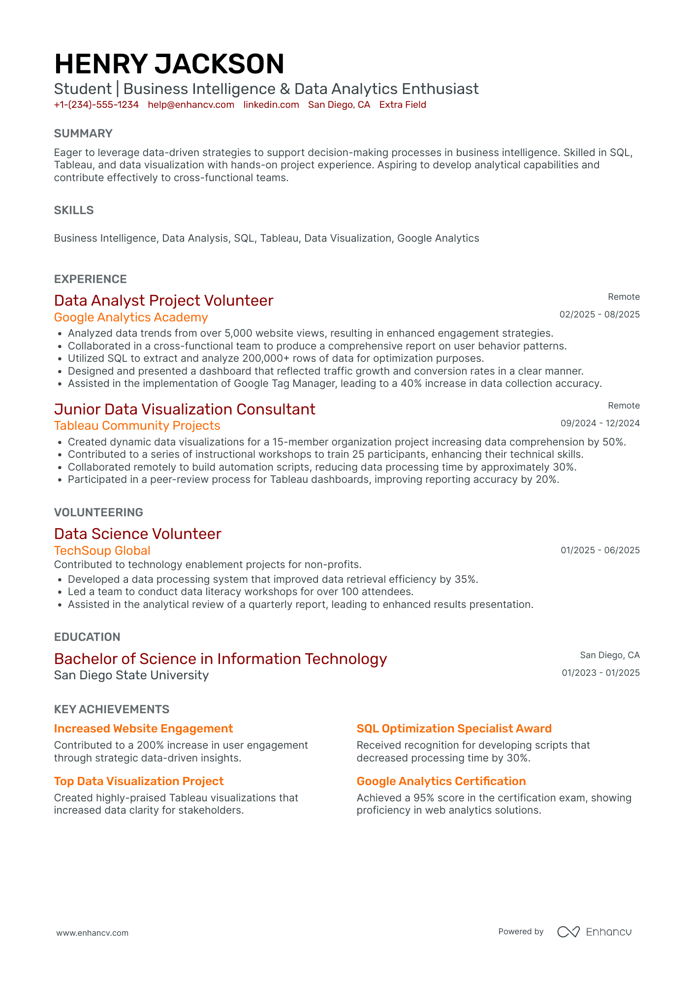 IT Business Intelligence Intern Resume Example