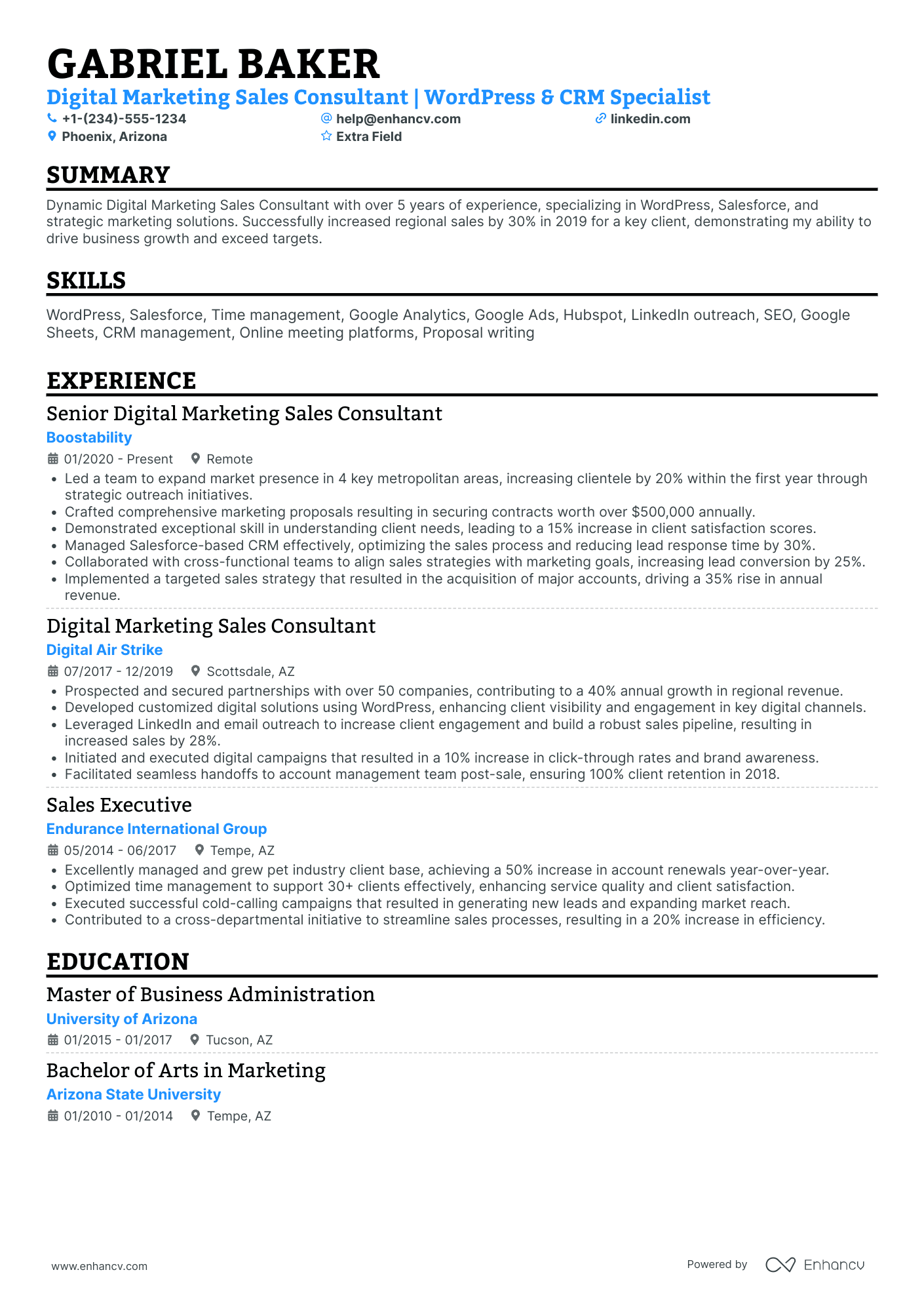 SEO Sales Consultant Resume Example