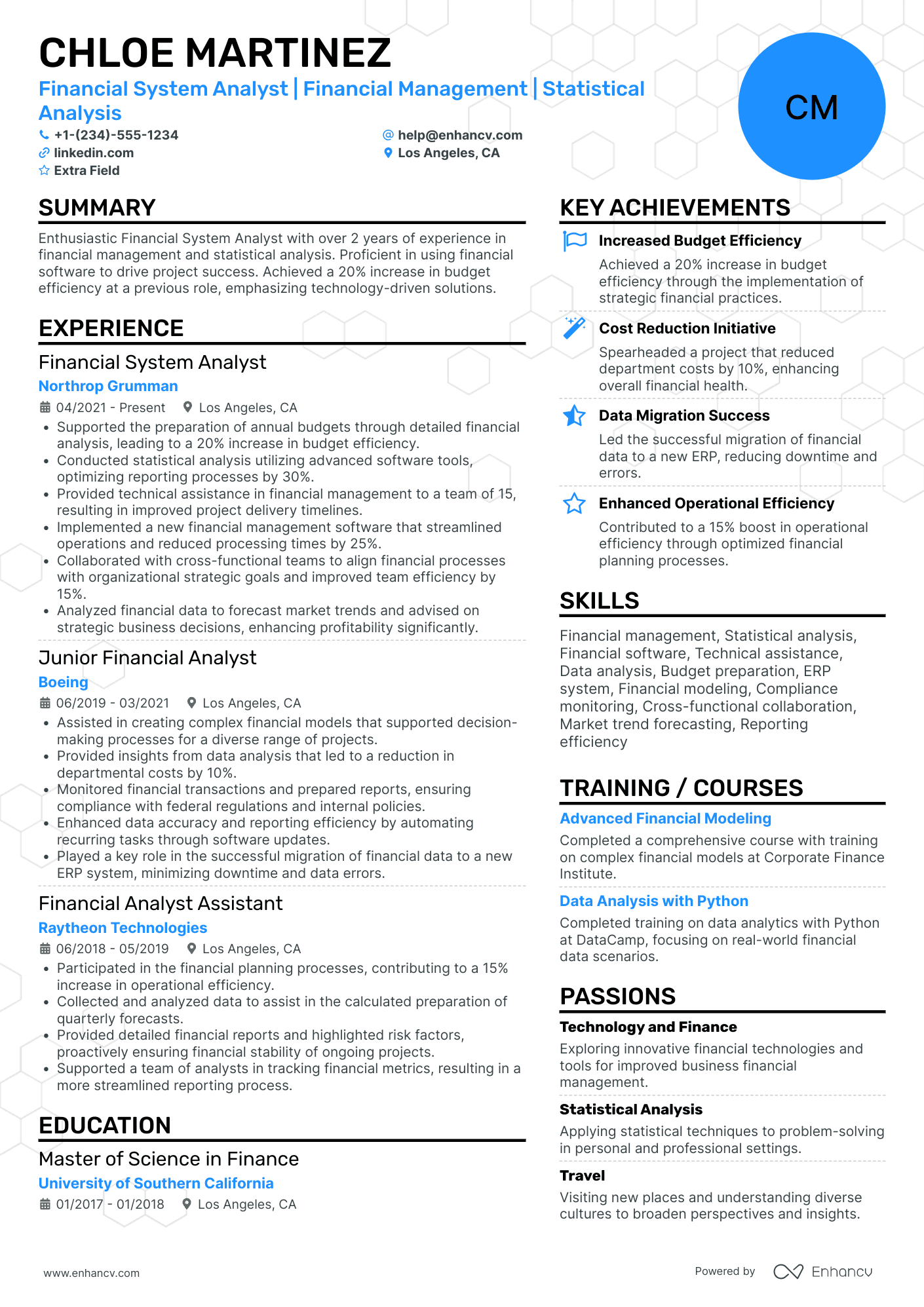 Investment Financial Analyst Resume Example