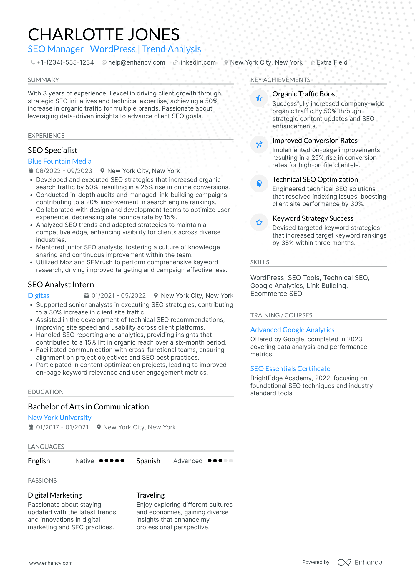 Junior SEO Manager Resume Example