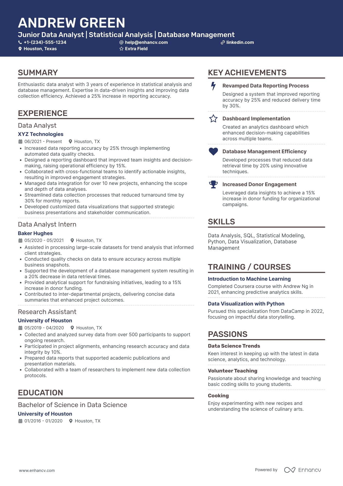 Junior Business Data Analyst Resume Example