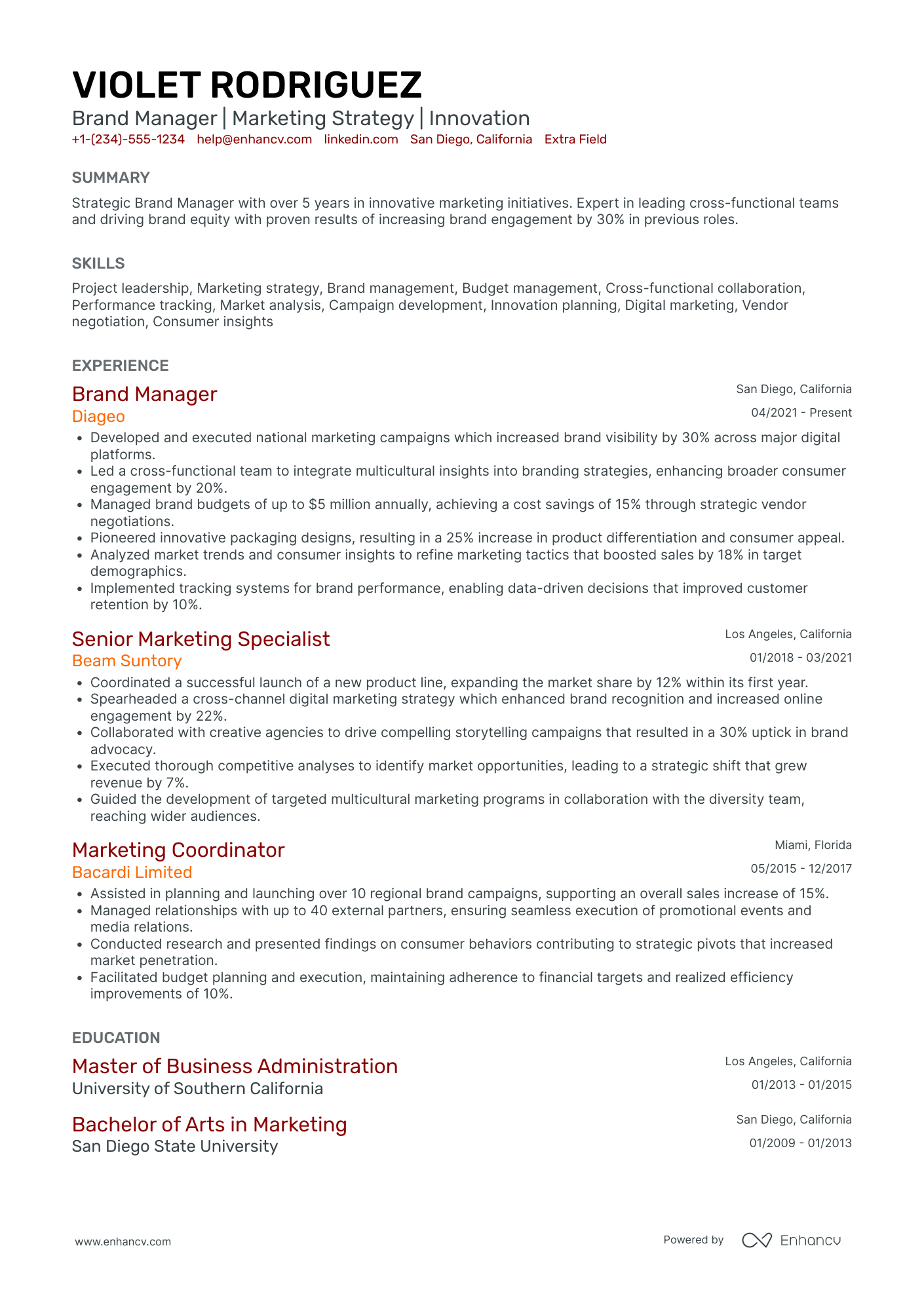 Global Brand Manager Resume Example