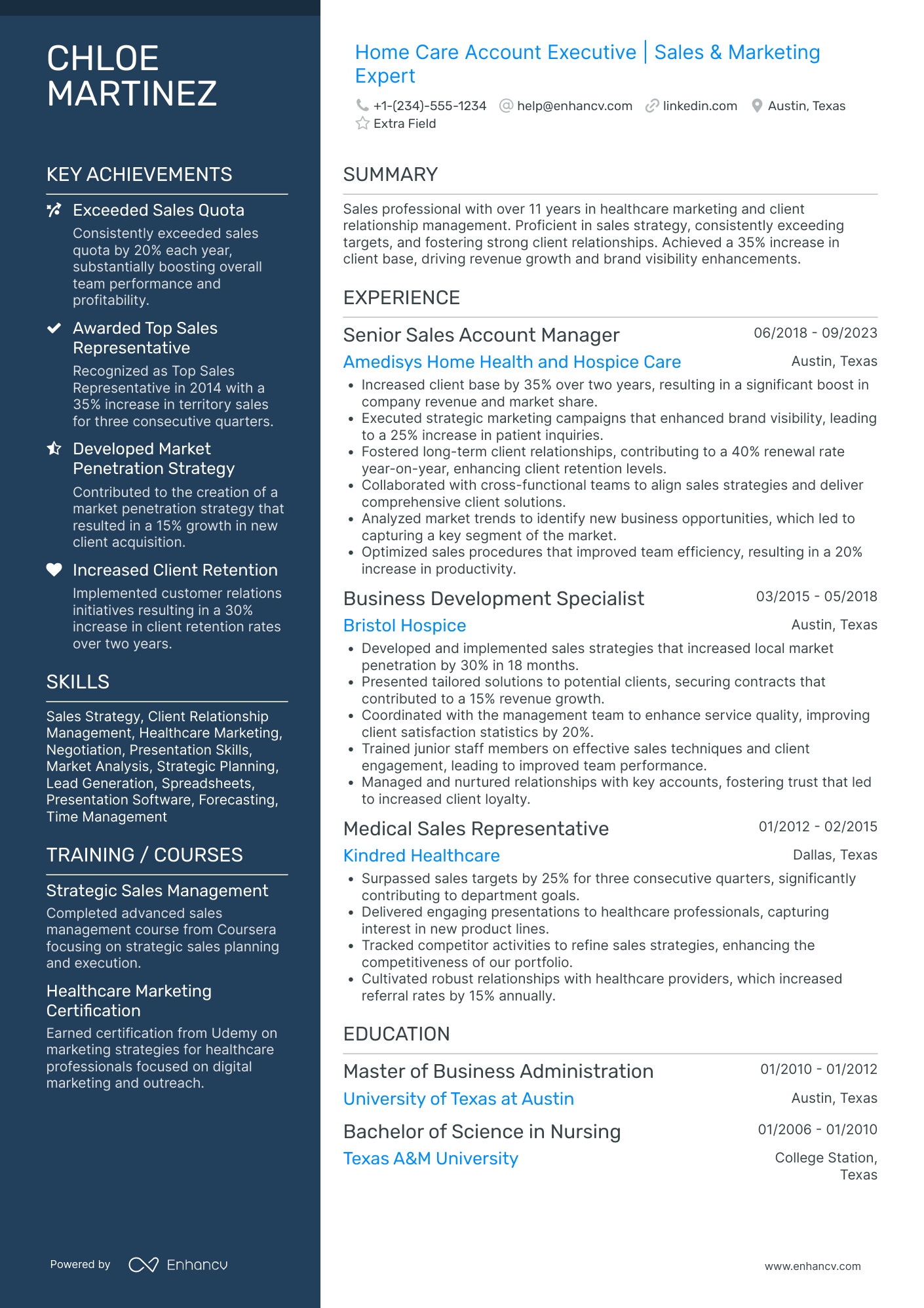 Healthcare Account Executive Resume Example