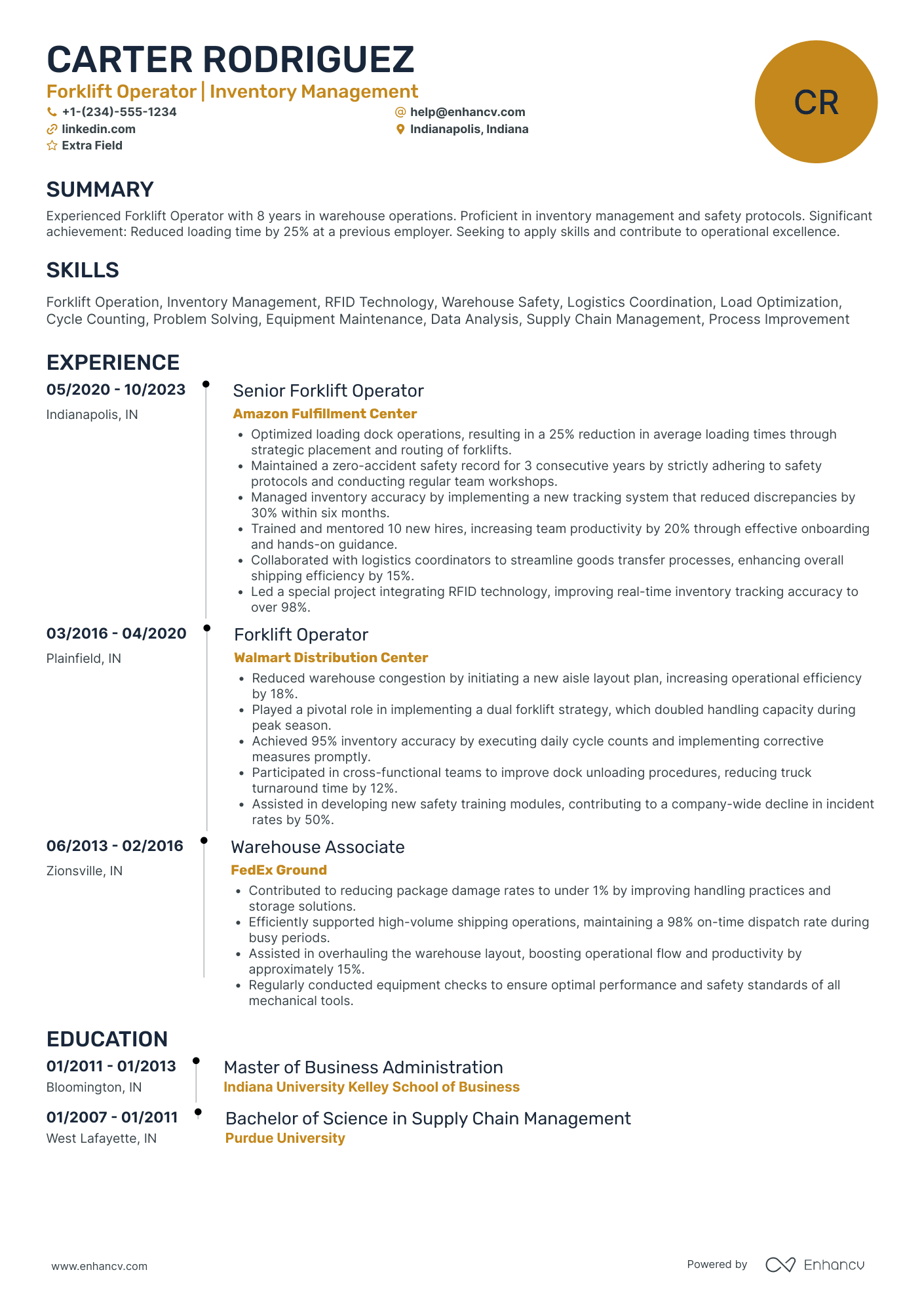 Handyman Consultant Resume Example