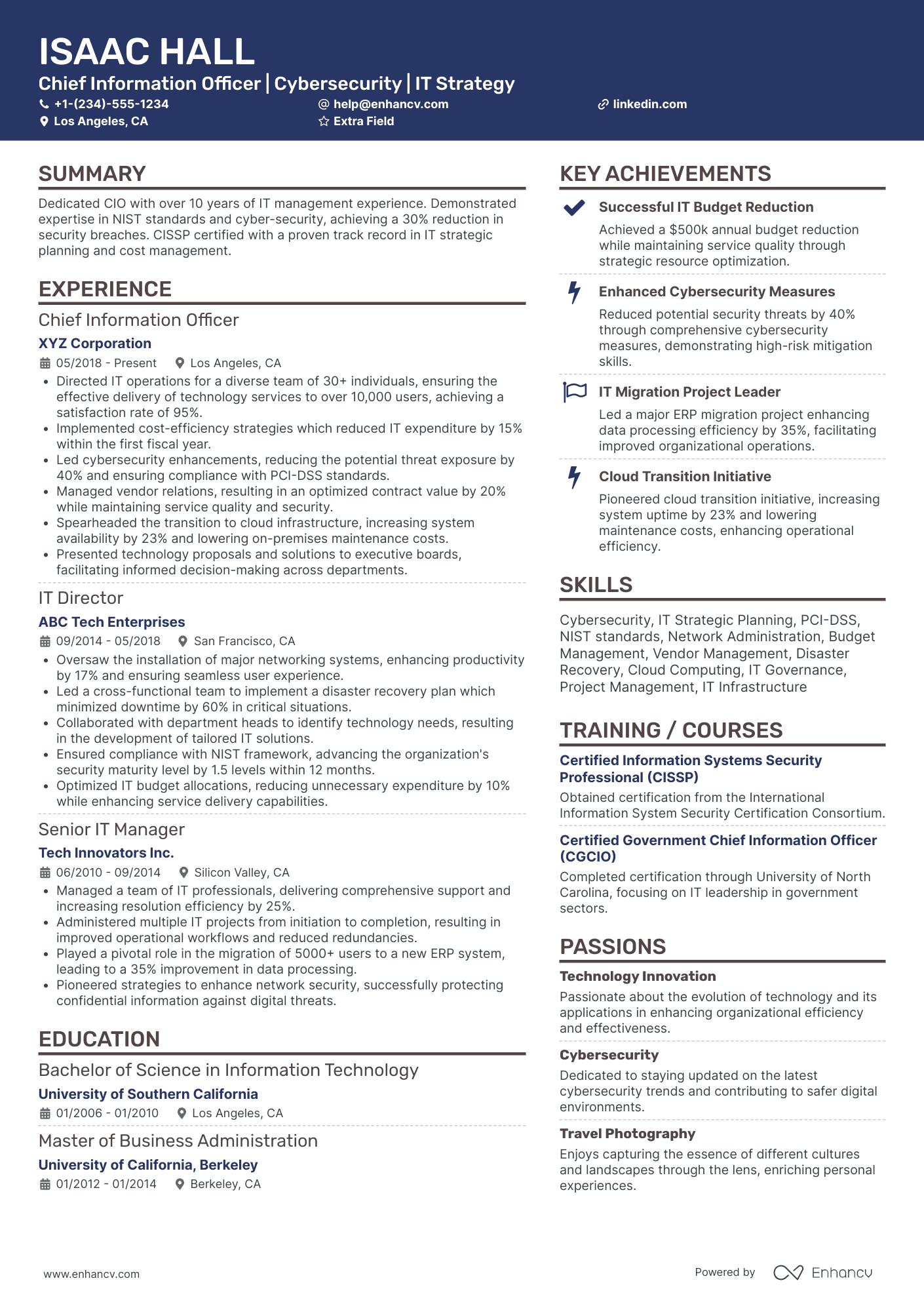 Senior Chief Information Officer Resume Example