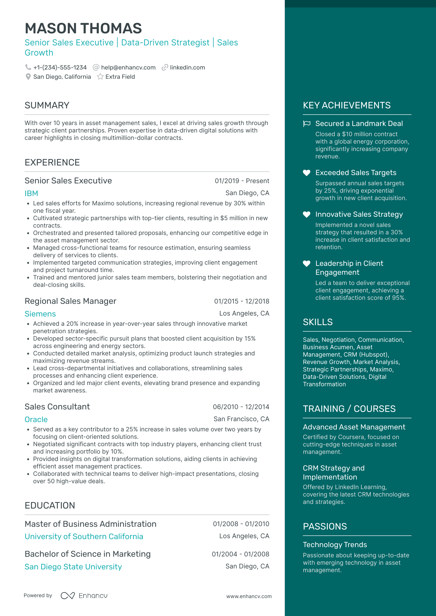 Senior Sales Person Resume Example