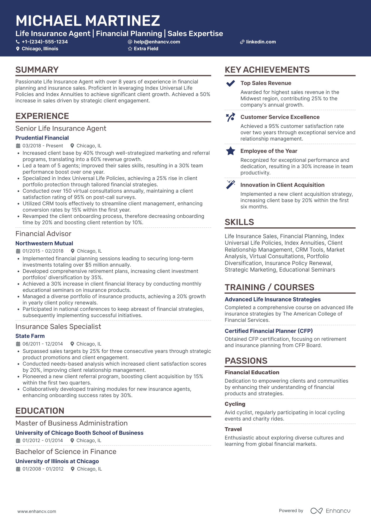 Principal Insurance Agent Resume Example