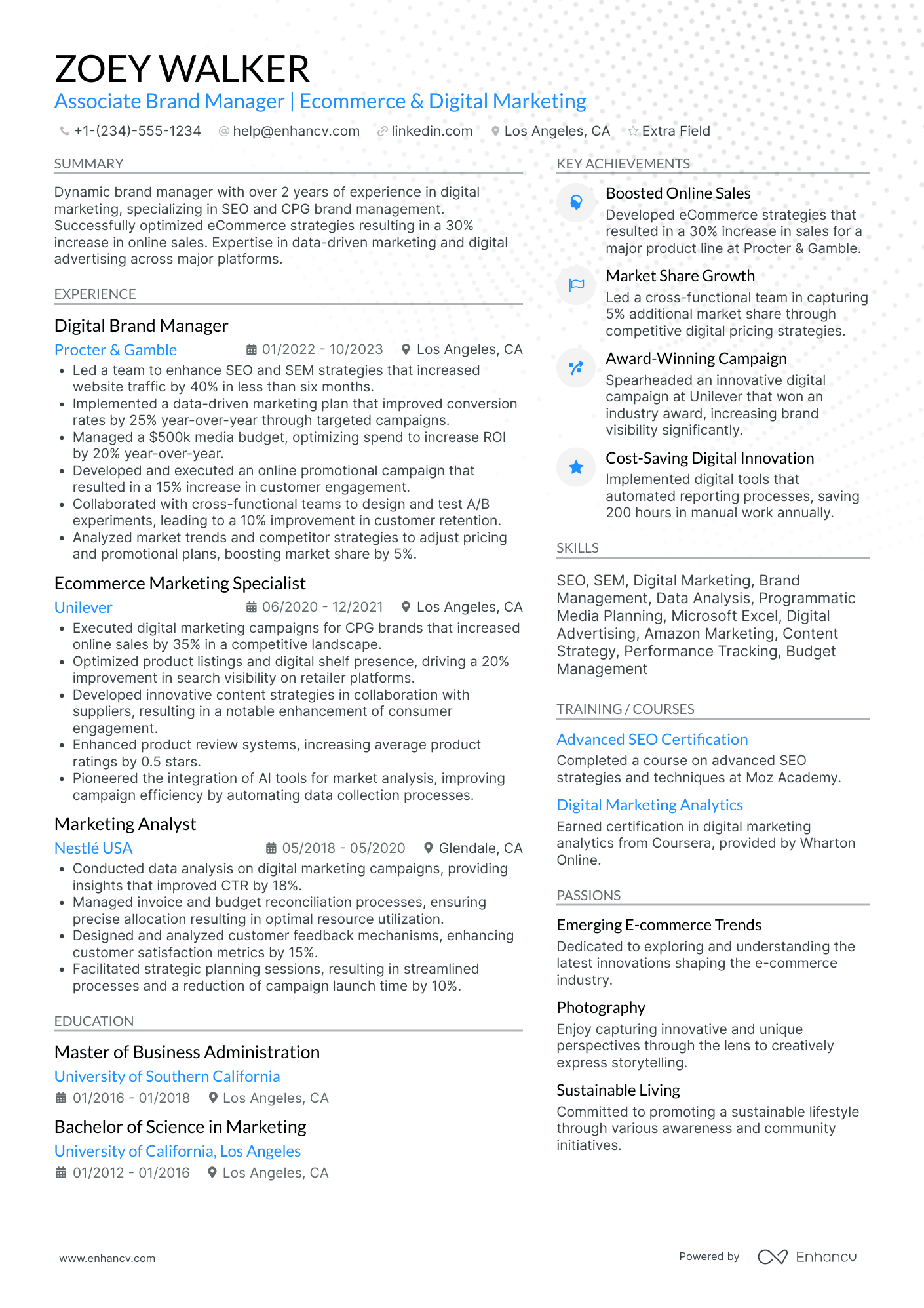 SEO Brand Manager Resume Example