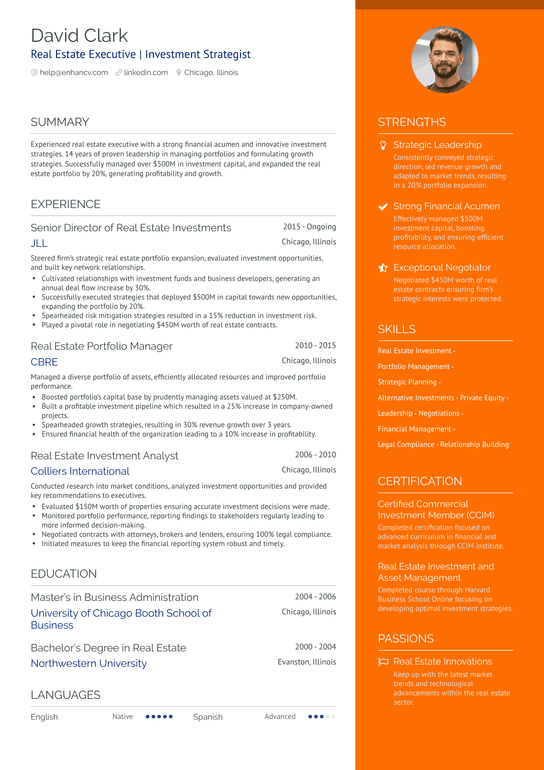 Real Estate CEO Resume Example