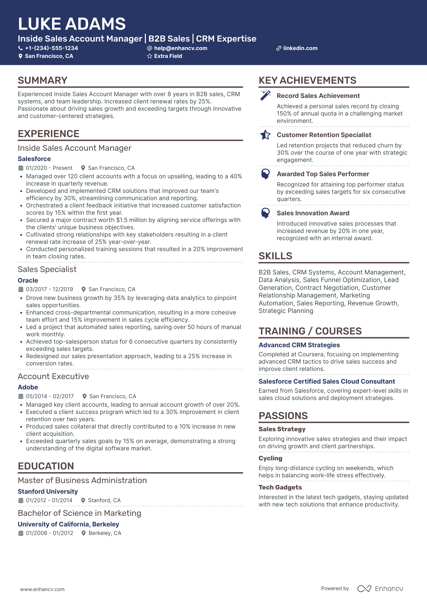 Inside Sales Account Manager Resume Example