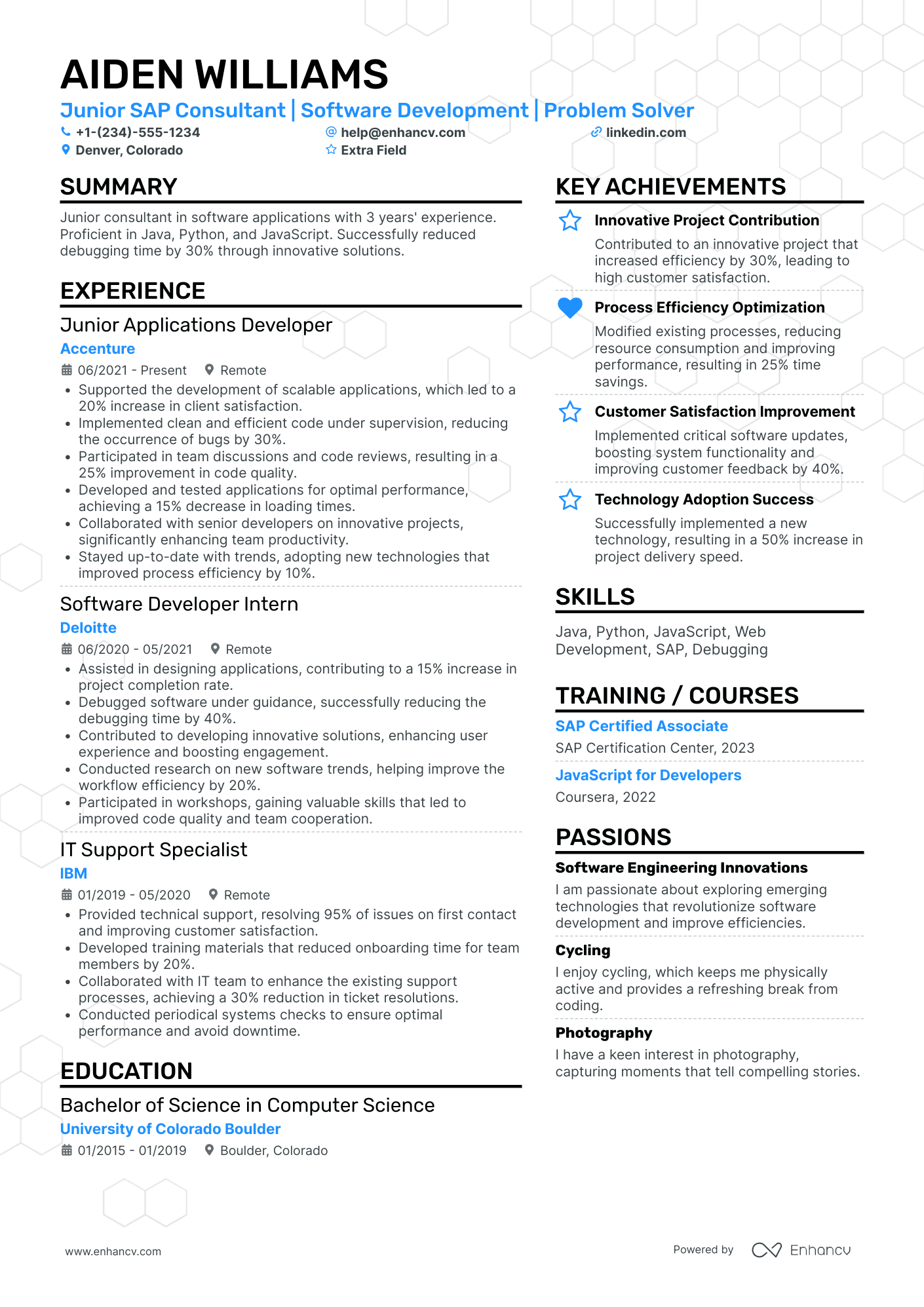 Junior Informatica Consultant Resume Example