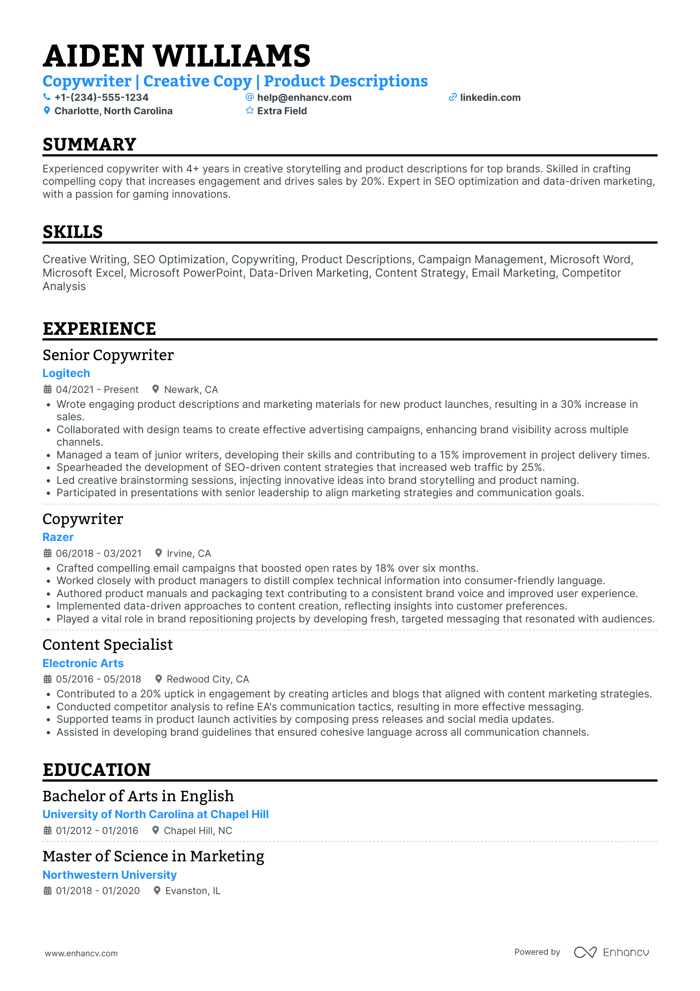 Technical Copywriter Resume Example