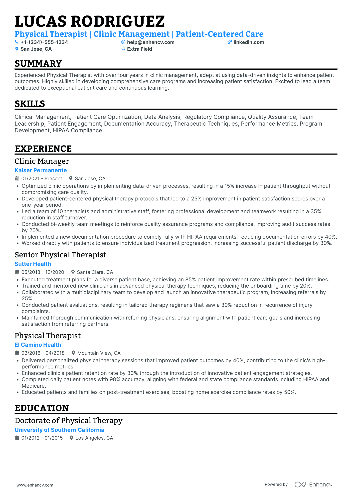 Physical Therapist Director Resume Example