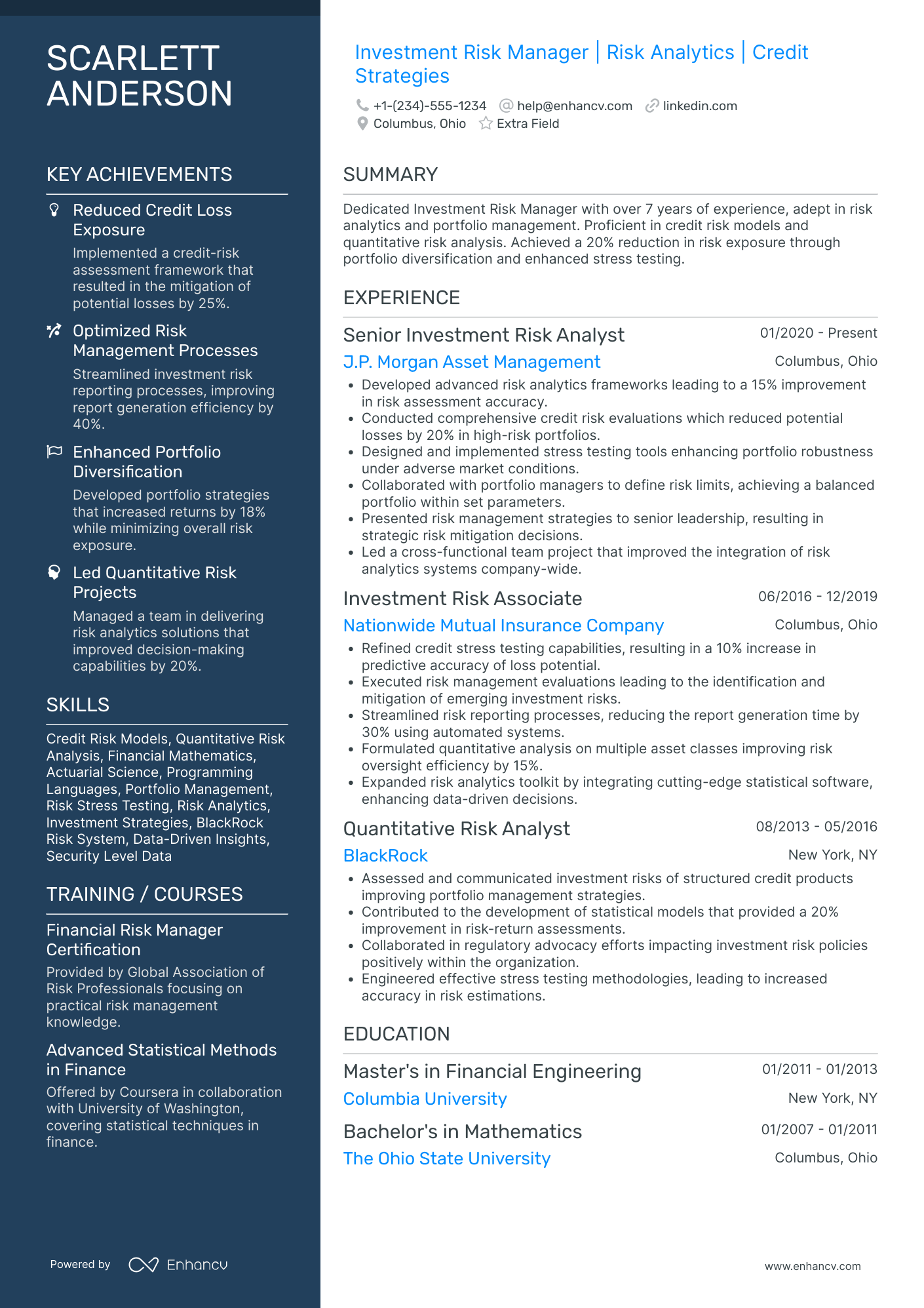 Investment Risk Manager Resume Example