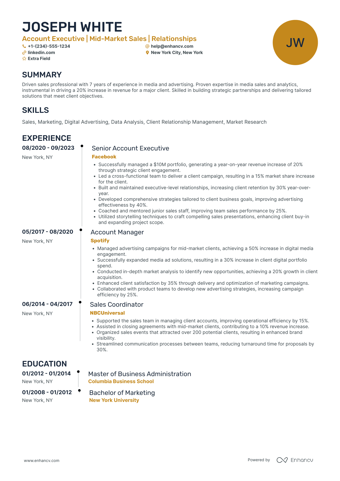 Google Marketing Platform Account Manager Resume Example