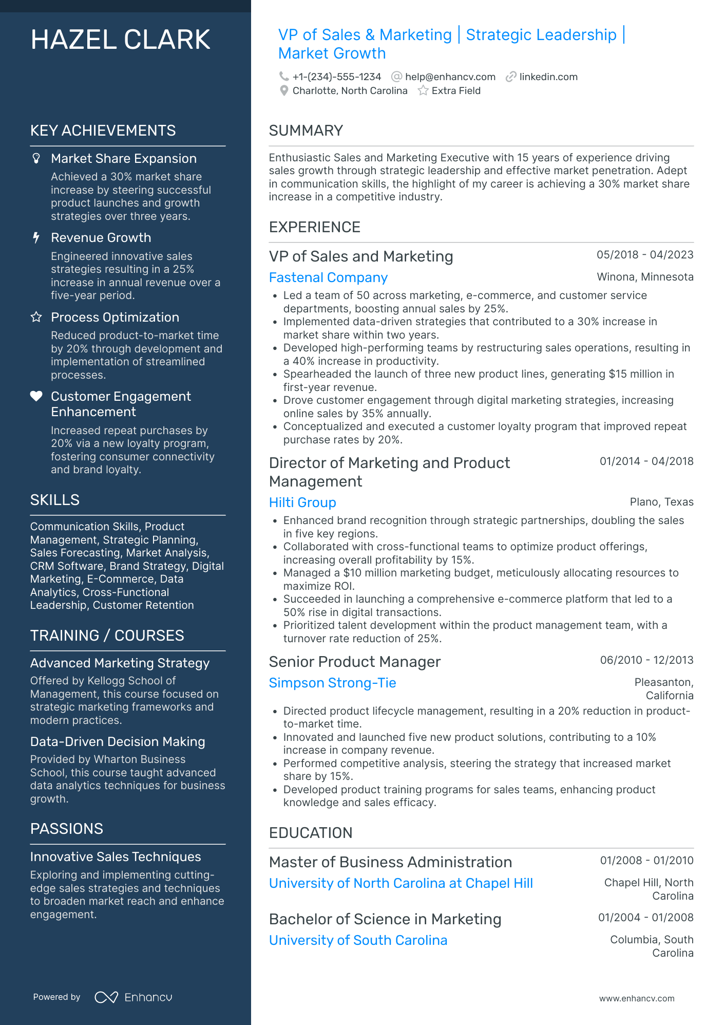 VP of Sales and Marketing Resume Example