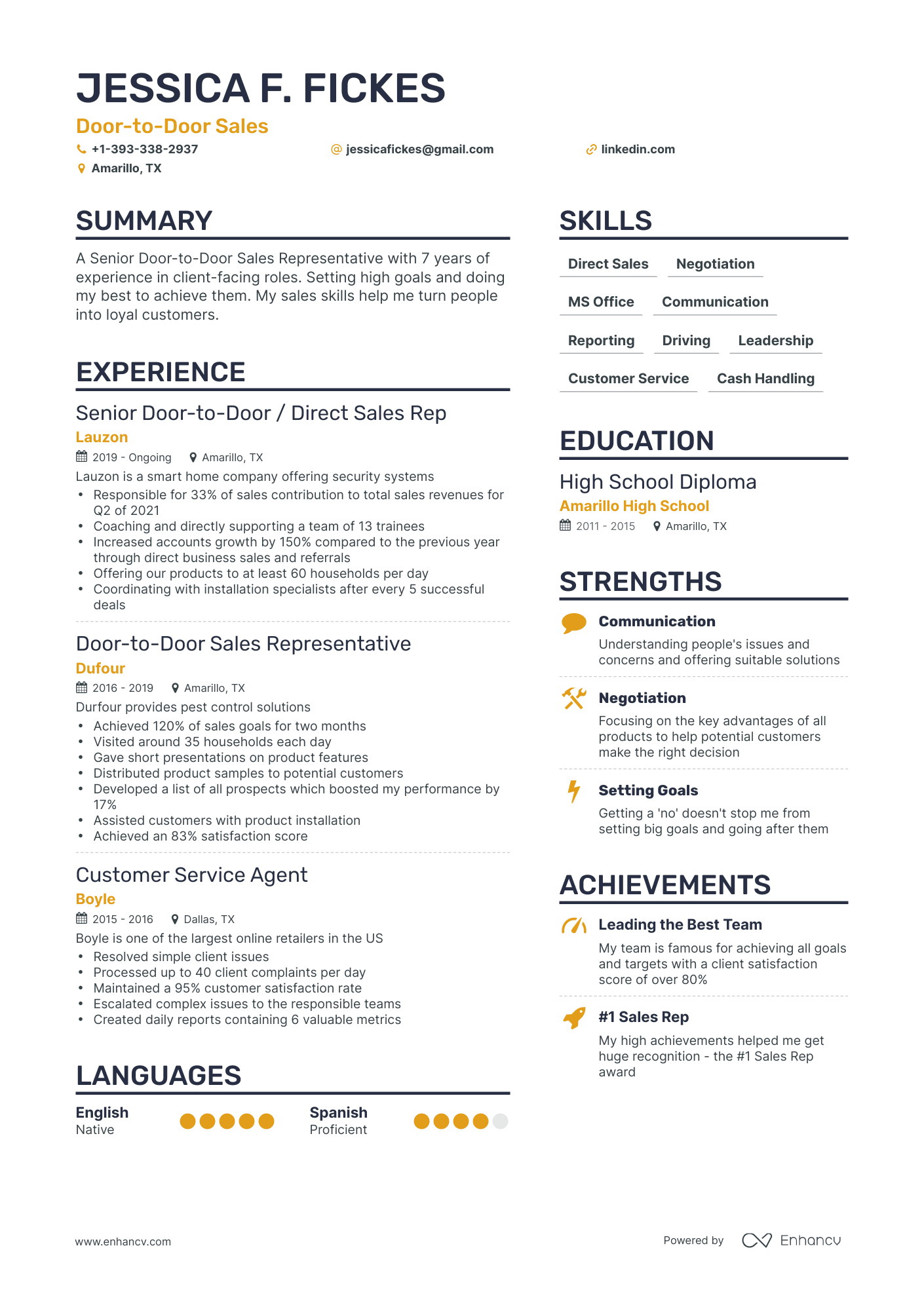Door To Door Sales Resume Example