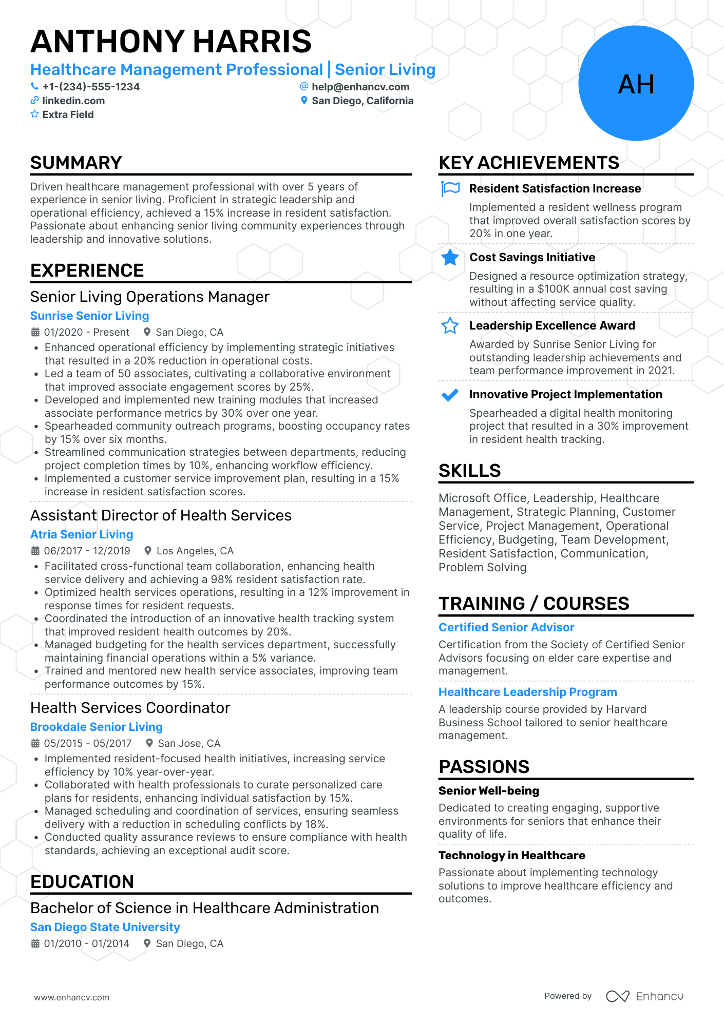 Associate Executive Director Resume Example