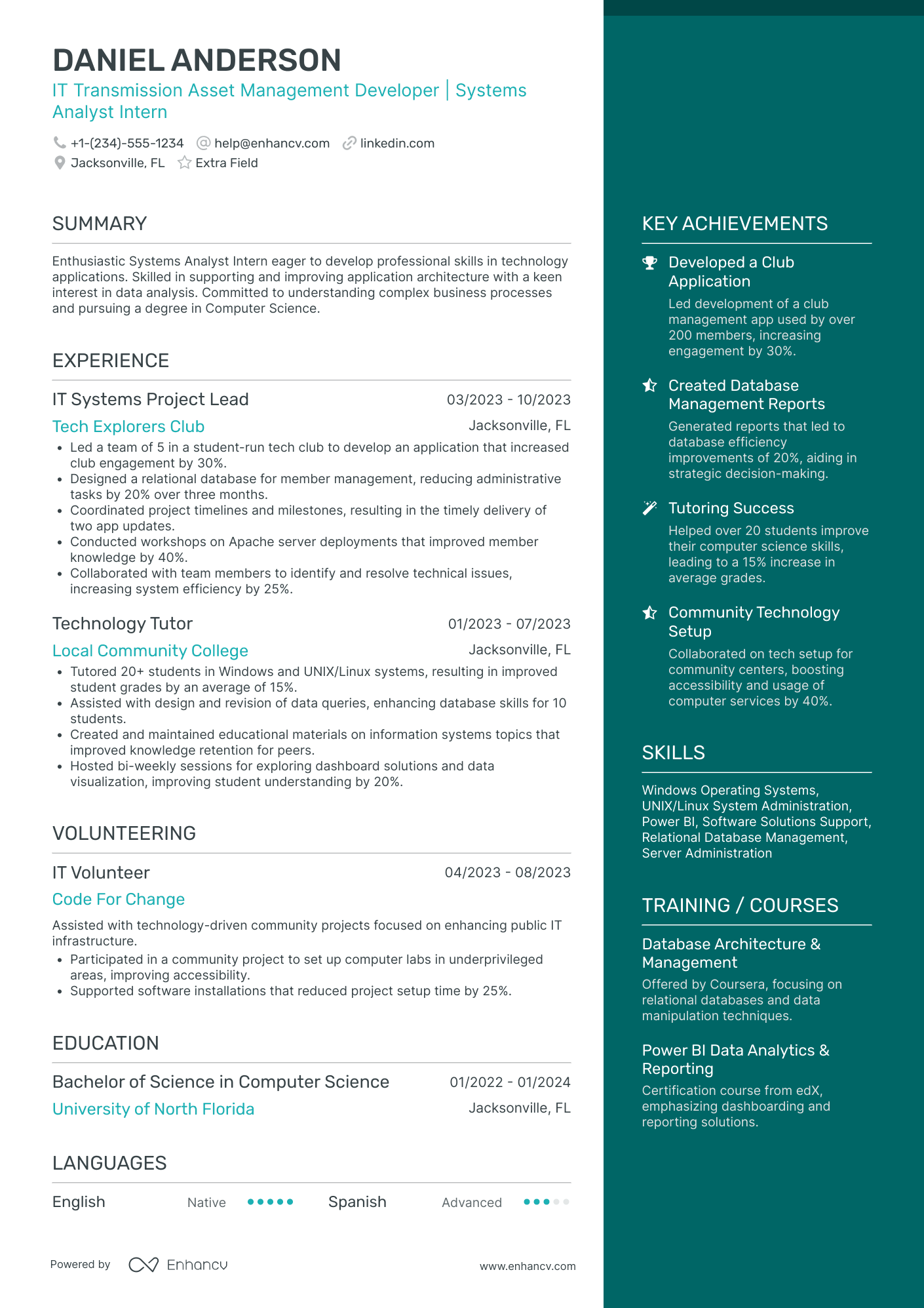 IT Systems Analyst Intern Resume Example