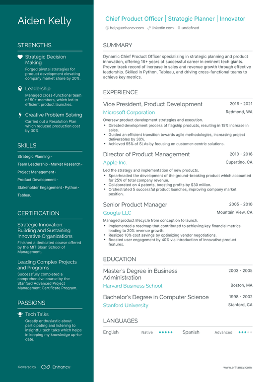Chief Product Officer Resume Example