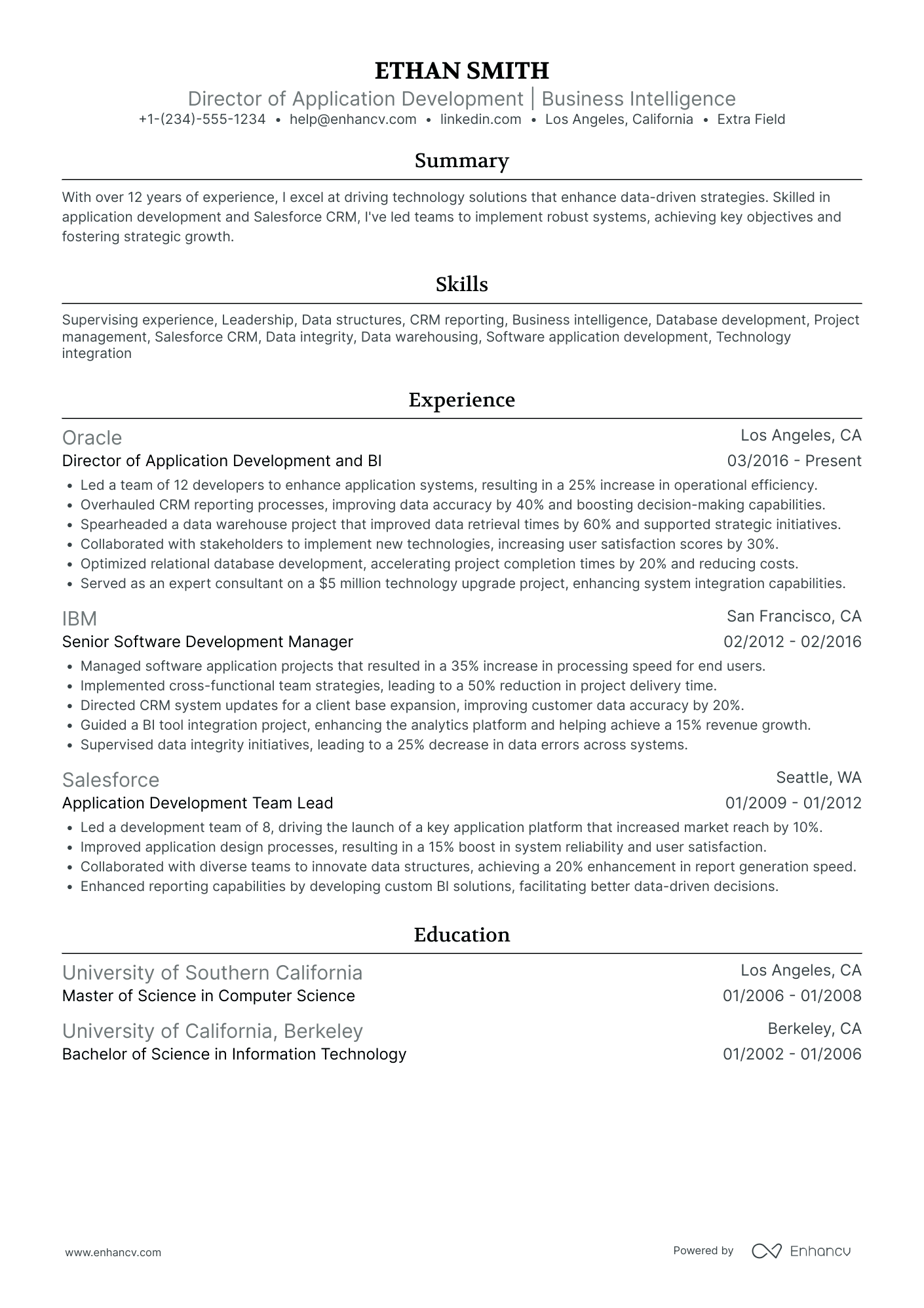 IT Director of Business Intelligence Resume Example