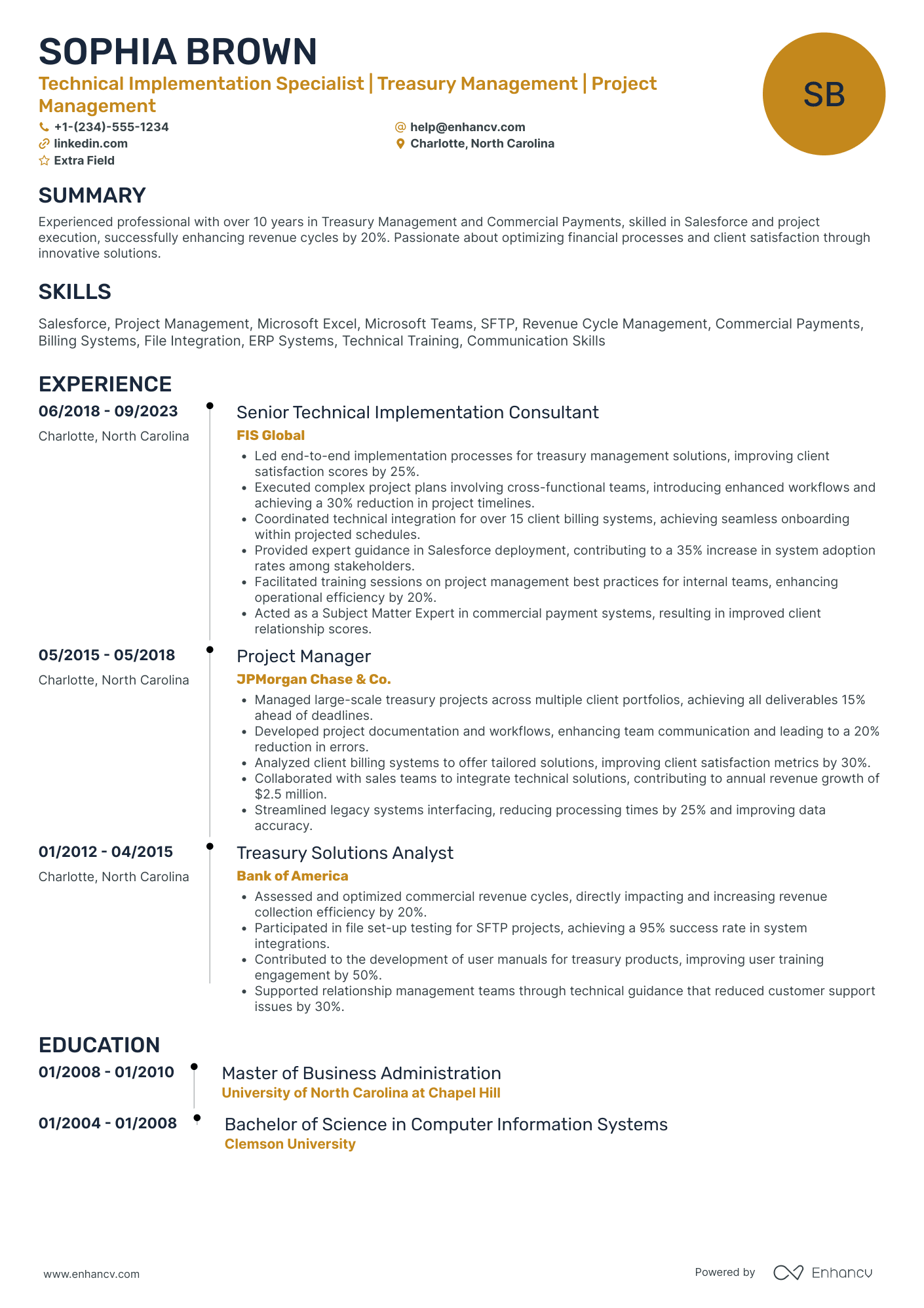 Technical Implementation Manager Resume Example